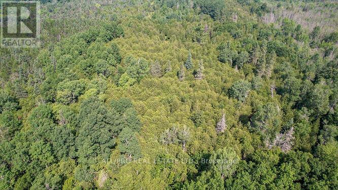 Photo 10 of 340 Armstrong Road, Merrickvillewolford ON