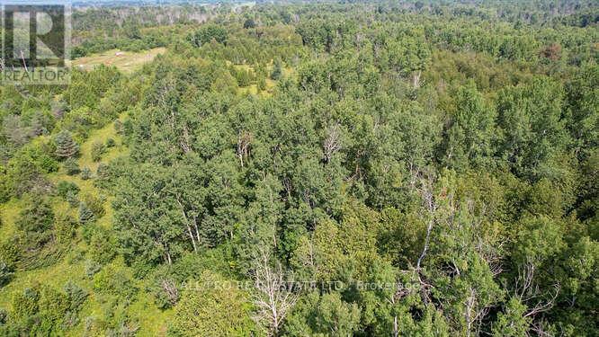 Photo 11 of 340 Armstrong Road, Merrickvillewolford ON