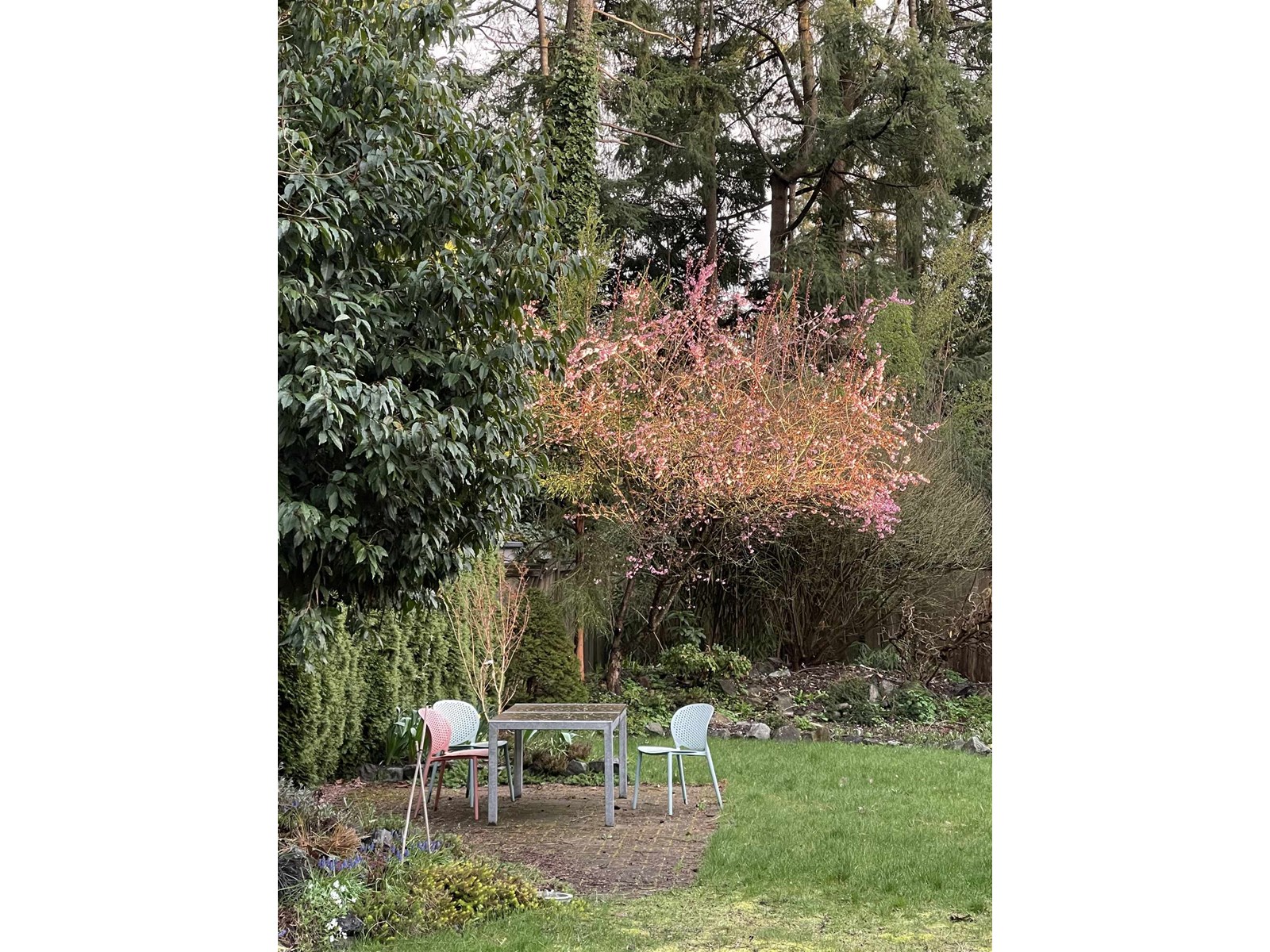 Photo 36 of 6598 Albion Way, Delta BC