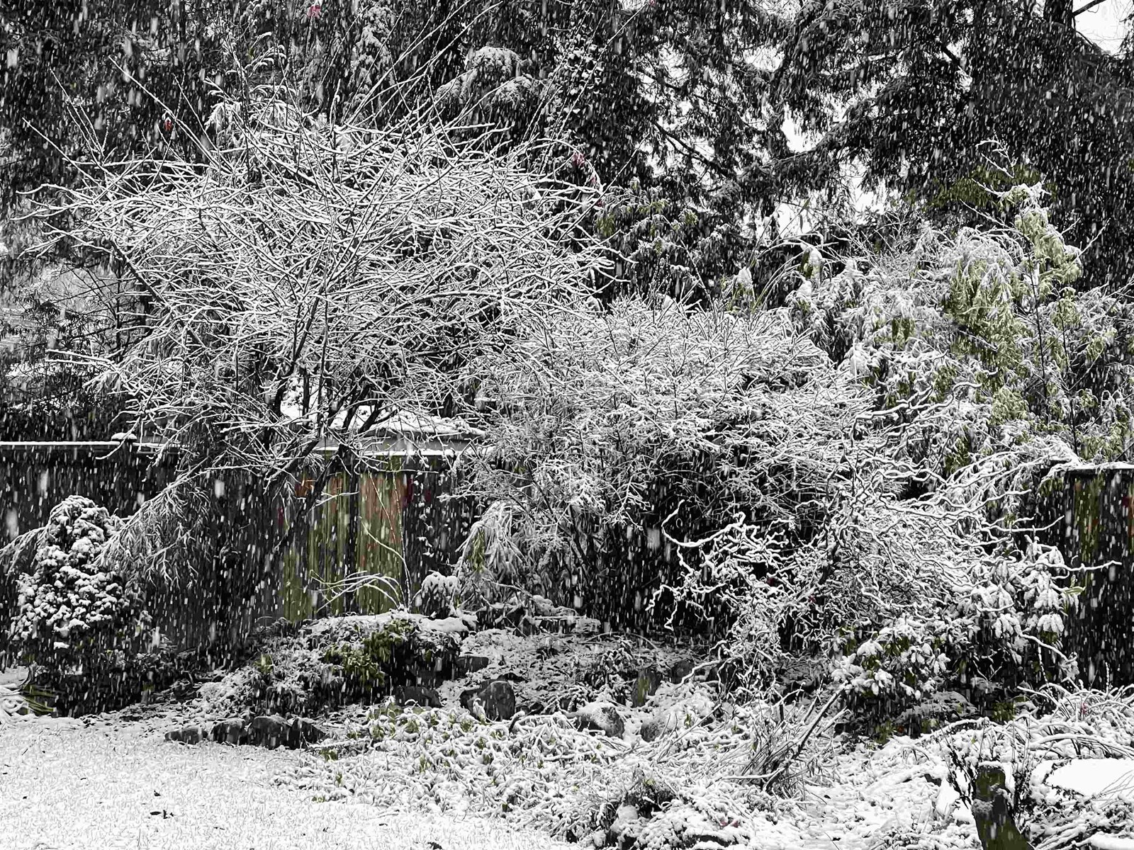 Photo 35 of 6598 Albion Way, Delta BC