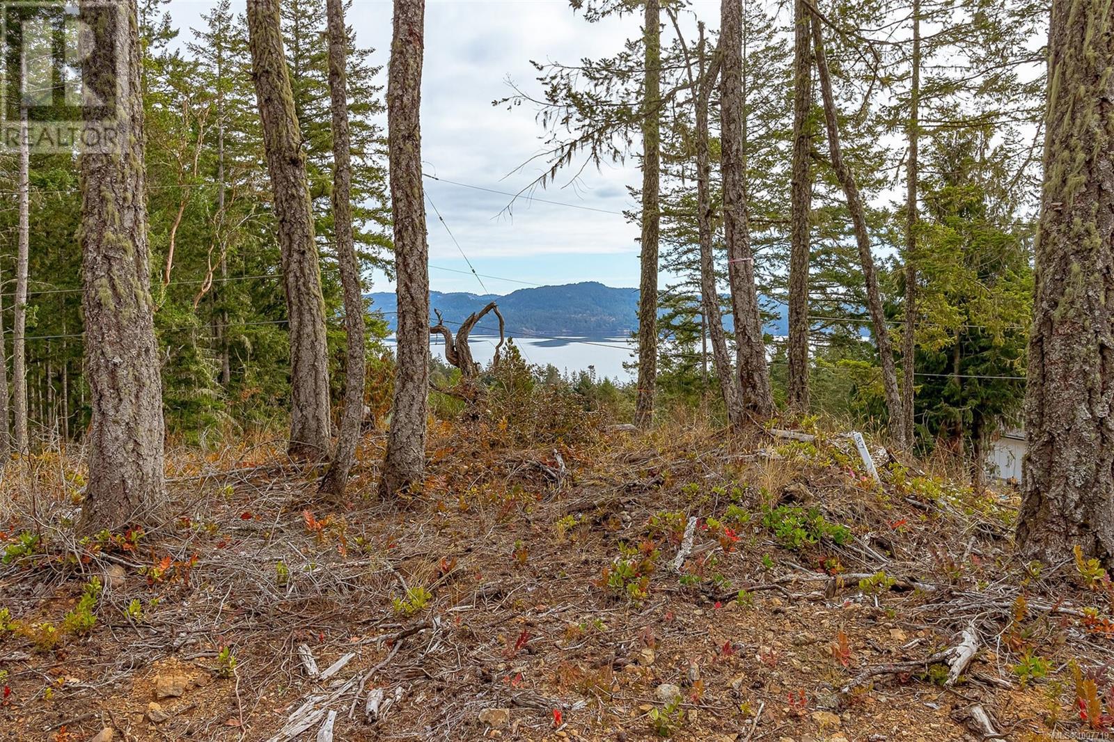  Lot 1 Owl's Nest Place, Sooke