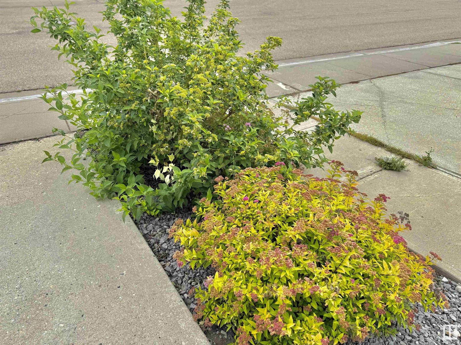 Photo 26 of 8416 160 A Av Nw, Edmonton AB