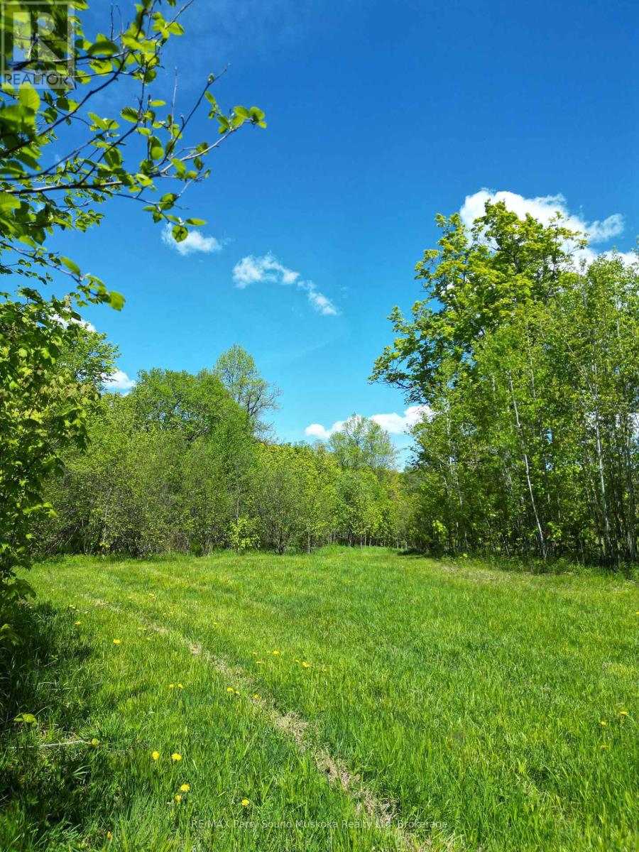 Photo 9 of 791 Clear Lake Road, Parry Sound Remote Area ON