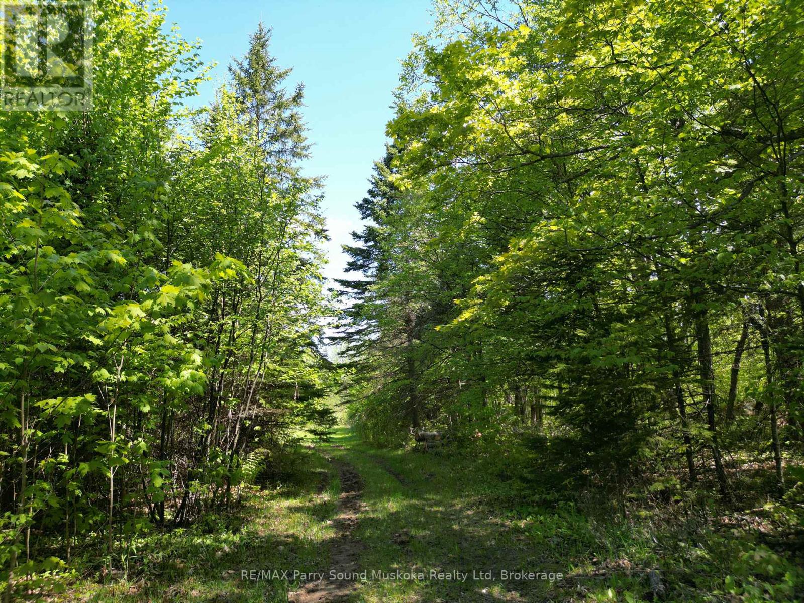 Photo 8 of 791 Clear Lake Road, Parry Sound Remote Area ON