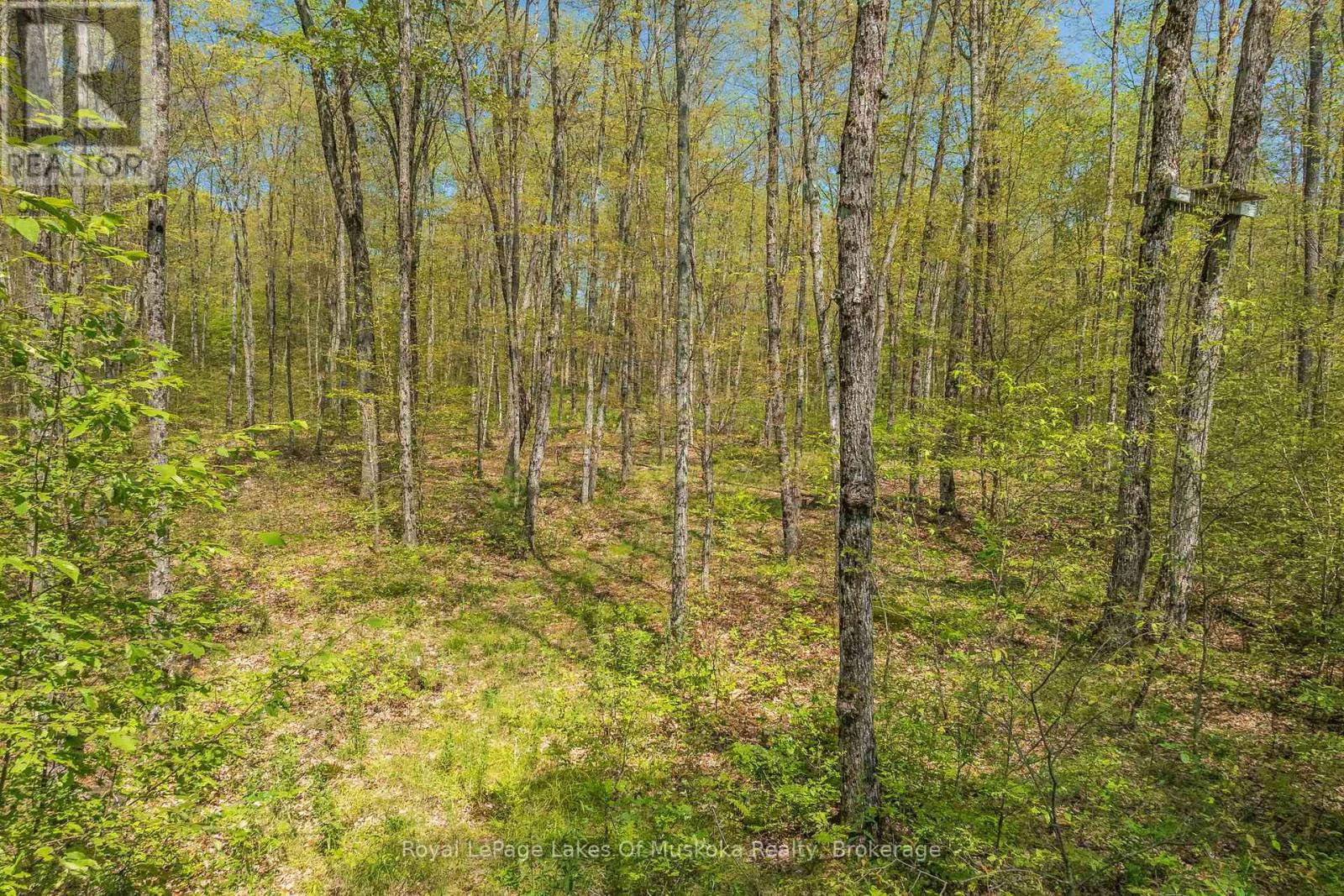 Photo 24 of 1101 Starratt Road, Ryerson ON