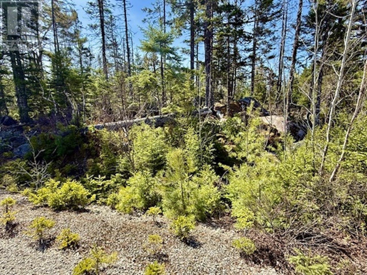 Vacant Land for Sale in Lot  Dynasty Court Sherwood 