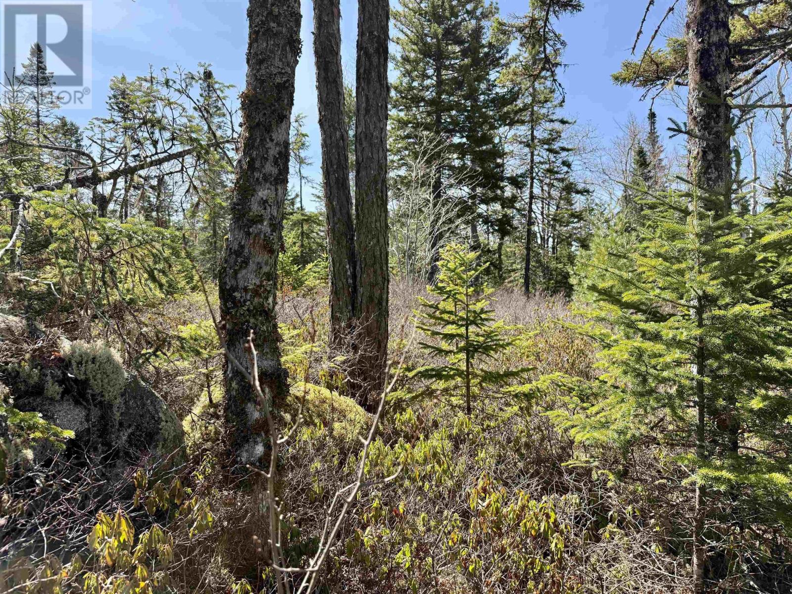 Vacant Land for Sale in Lot  Dynasty Court Sherwood 