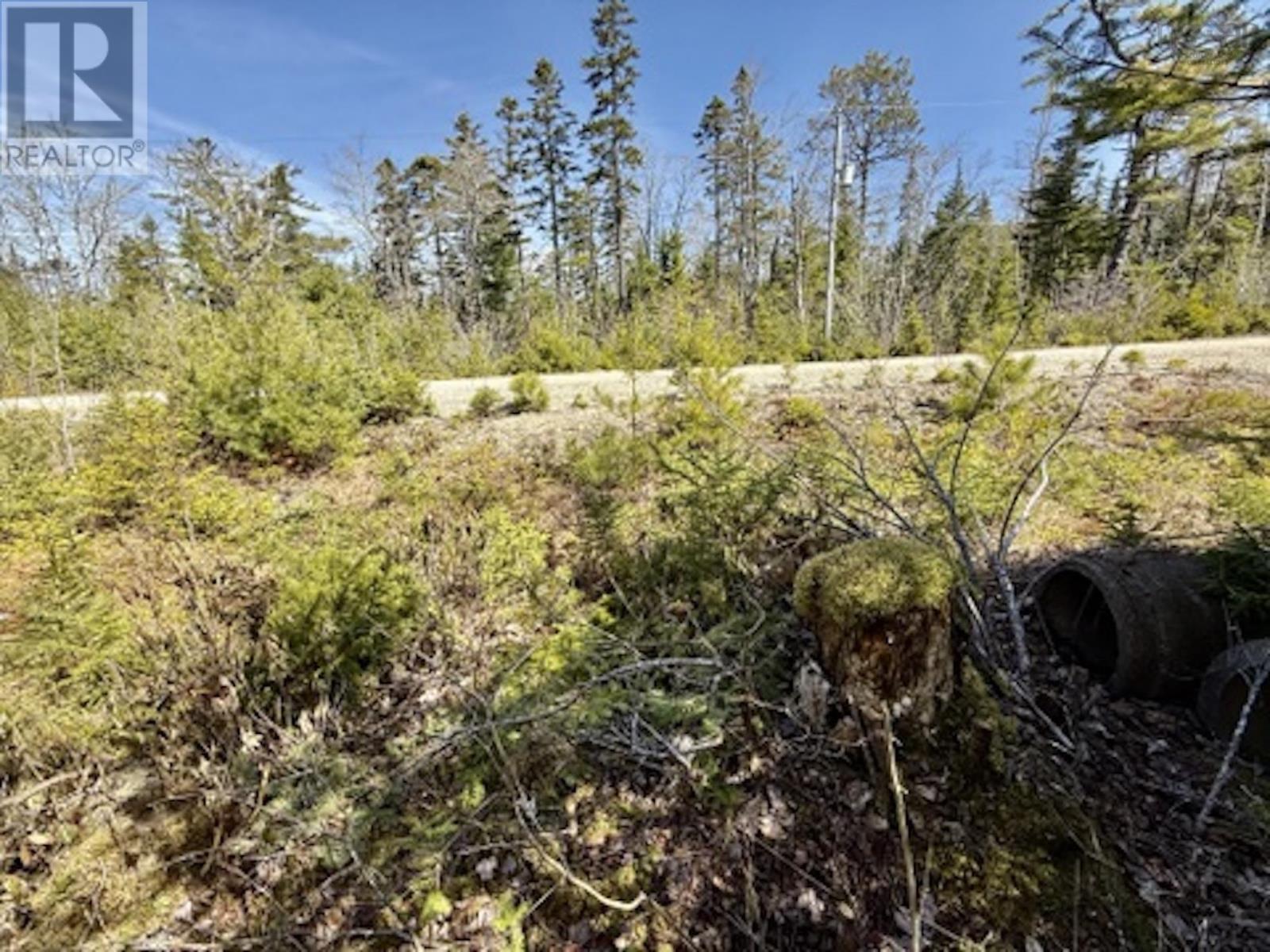 Vacant Land for Sale in Lot  Dynasty Court Sherwood 