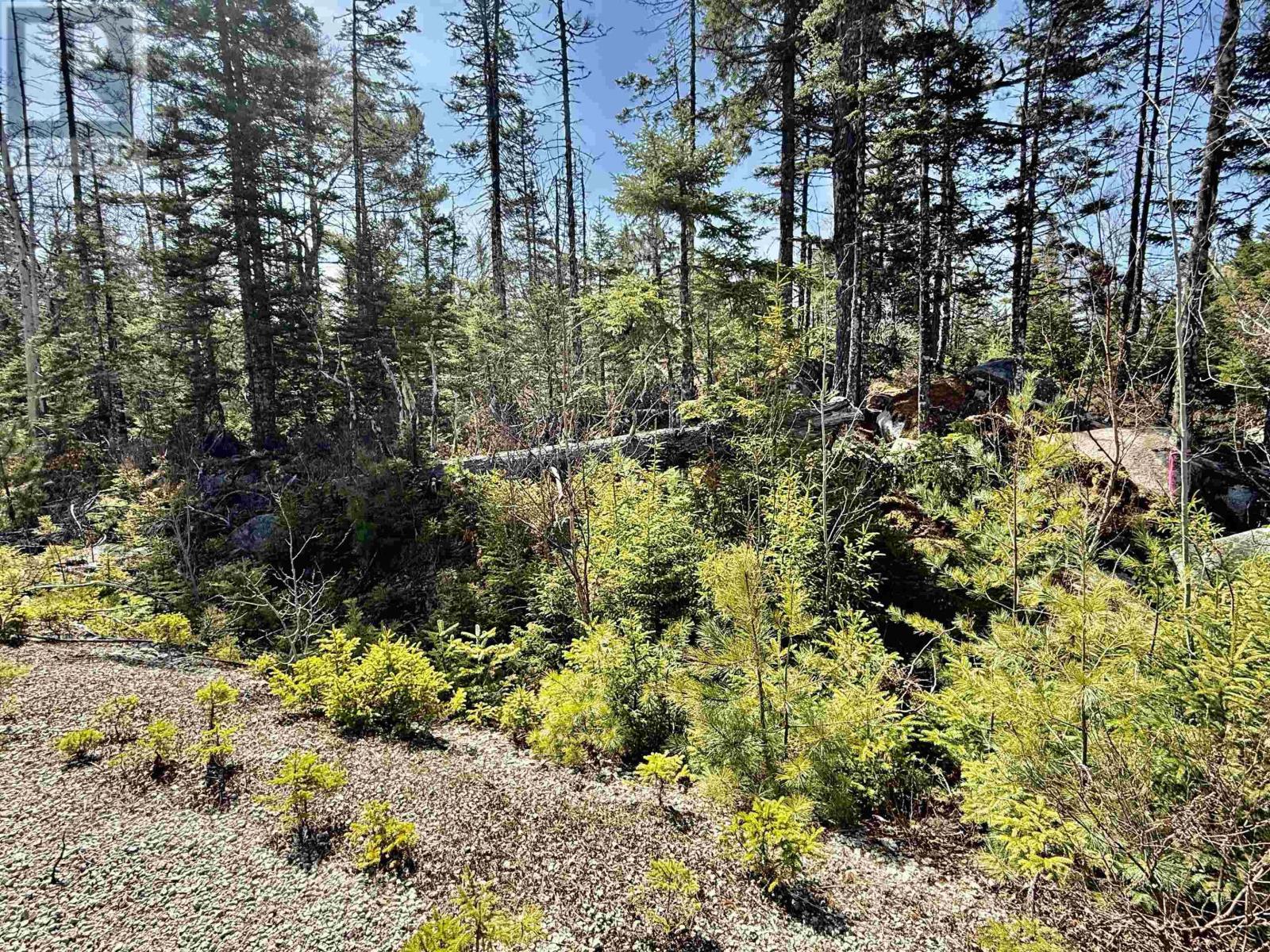 Vacant Land for Sale in Lot  Dynasty Court Sherwood 