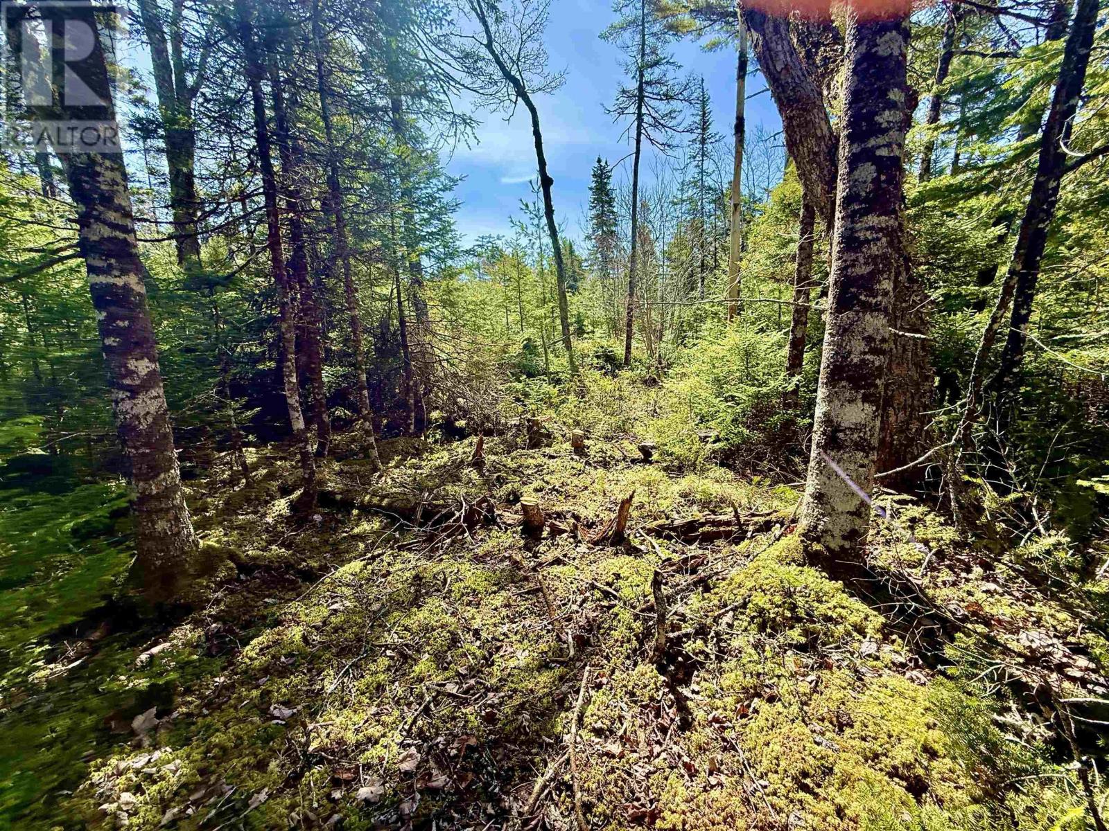 Vacant Land for Sale in Lot  Dynasty Court Sherwood 