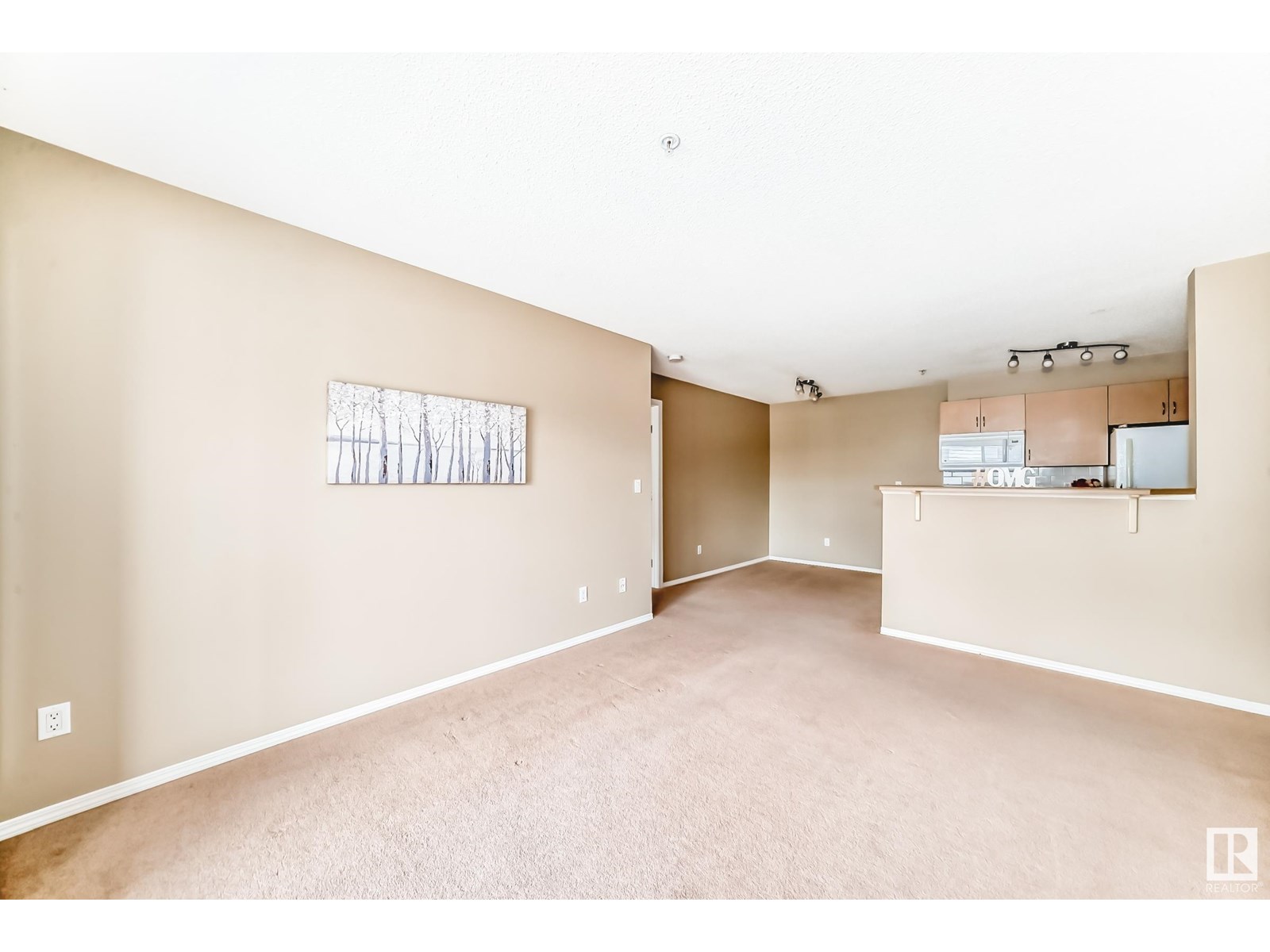 Photo 11 of 307 17011 67 Av Nw, Edmonton AB