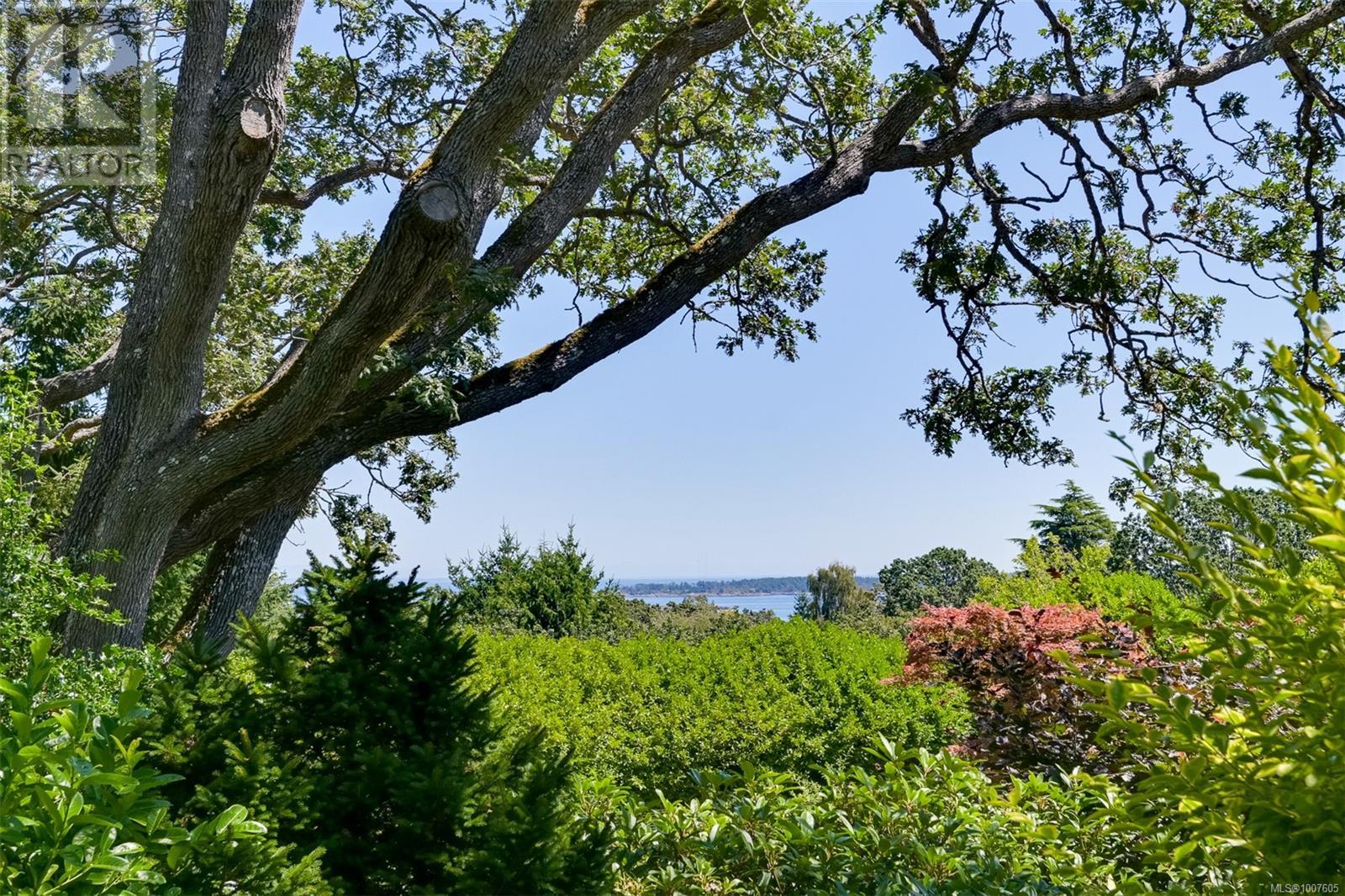 Photo 29 of 3375 Upper Terrace Rd, Oak Bay BC