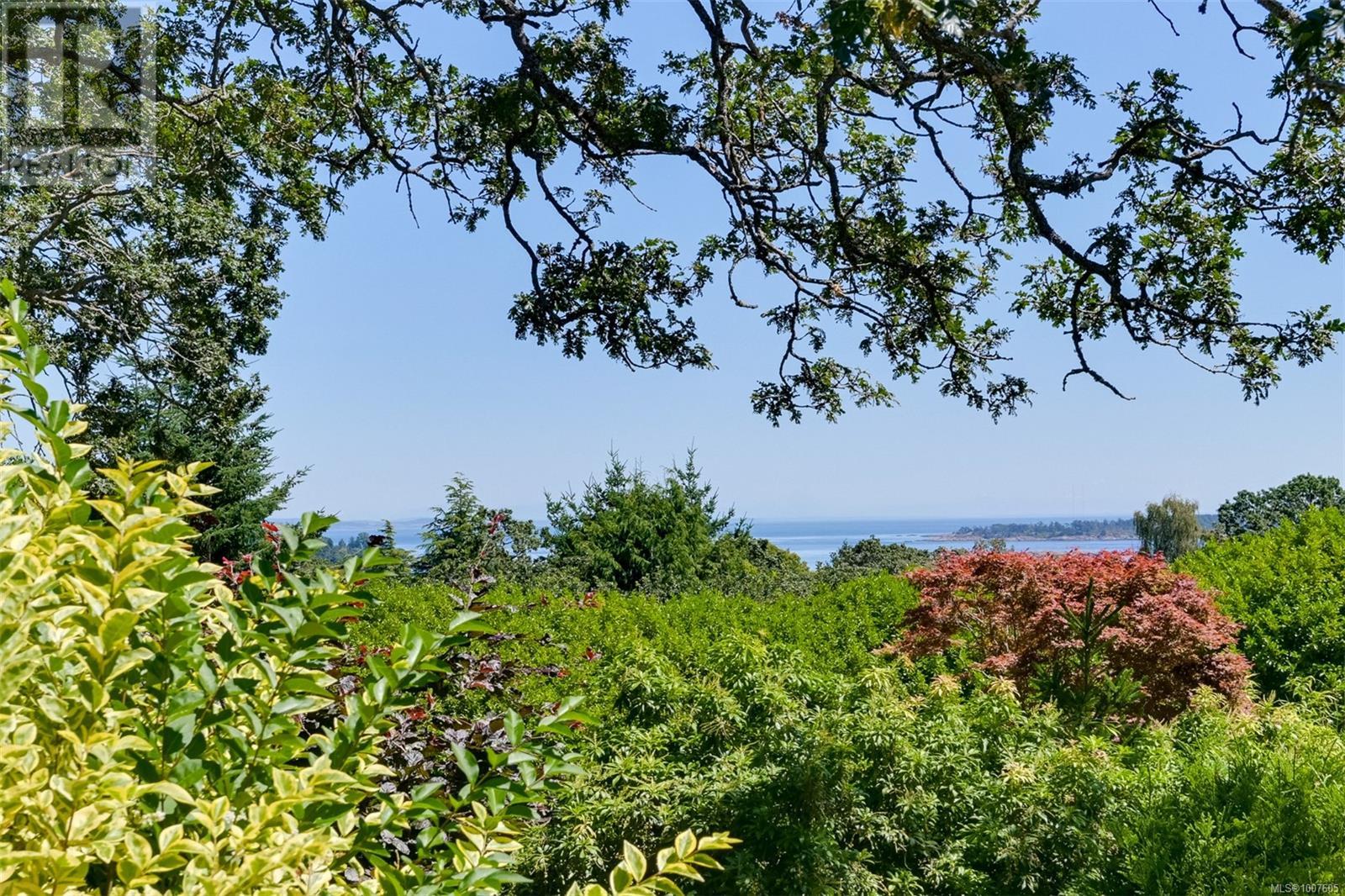 Photo 14 of 3375 Upper Terrace Rd, Oak Bay BC