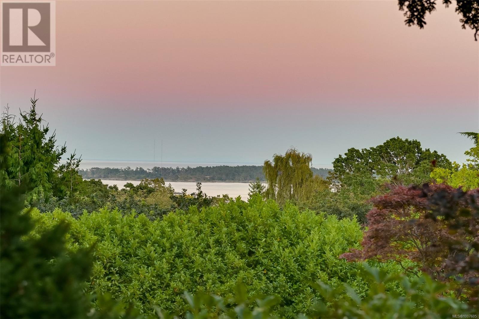 Photo 22 of 3375 Upper Terrace Rd, Oak Bay BC