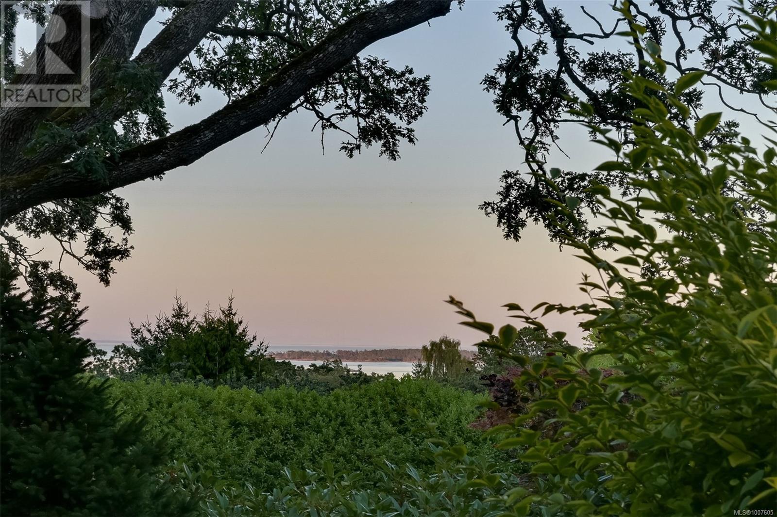 Photo 27 of 3375 Upper Terrace Rd, Oak Bay BC