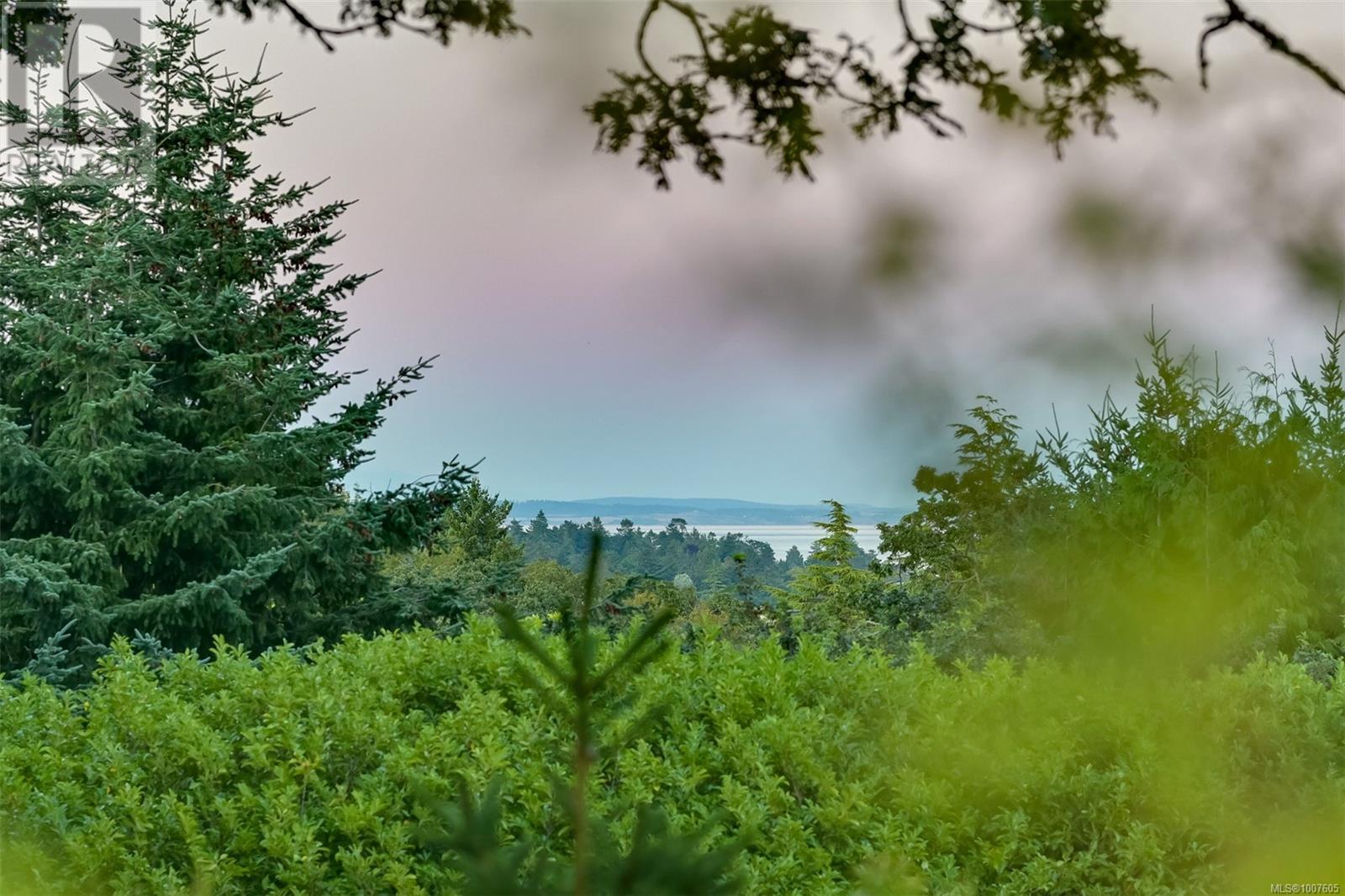 Photo 48 of 3375 Upper Terrace Rd, Oak Bay BC