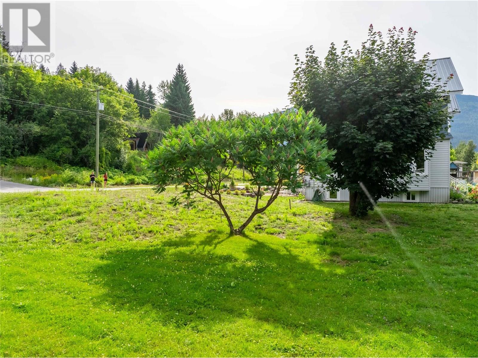 157 Track Street E, Revelstoke