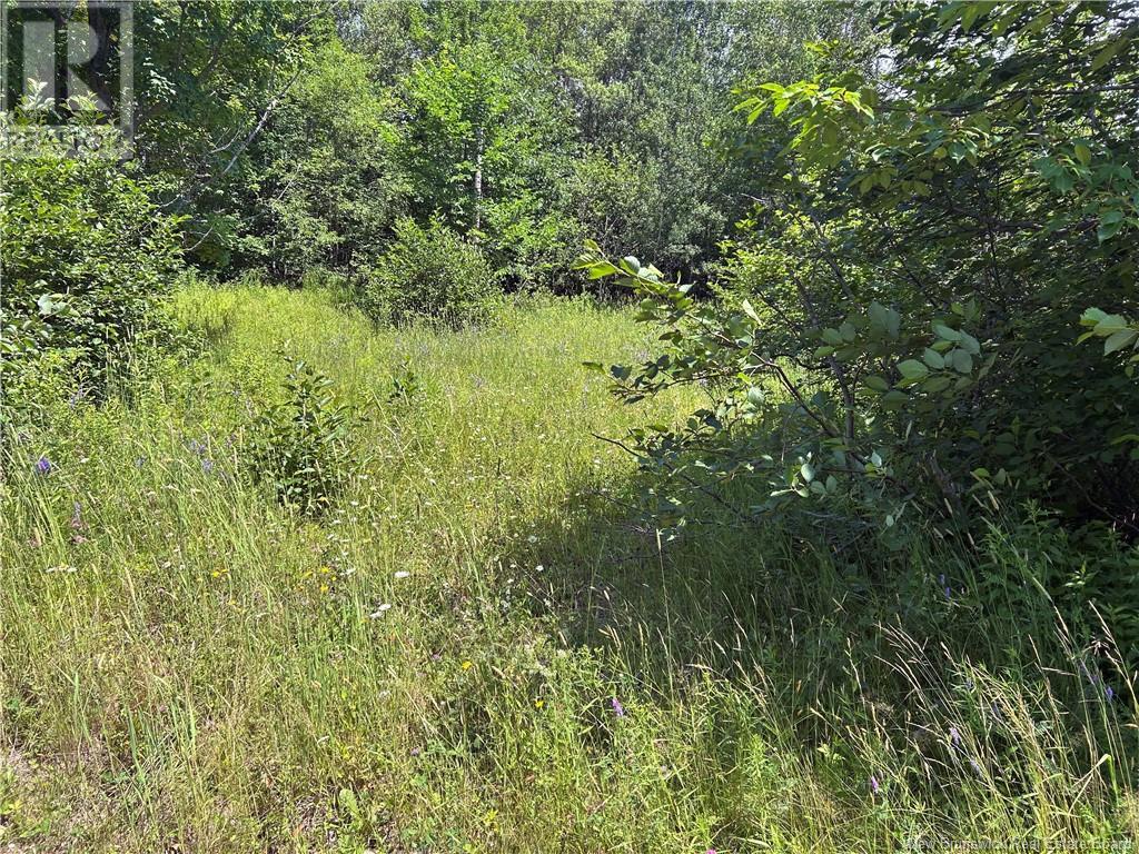 Photo 4 of 32 Memorial Drive, Minto NB