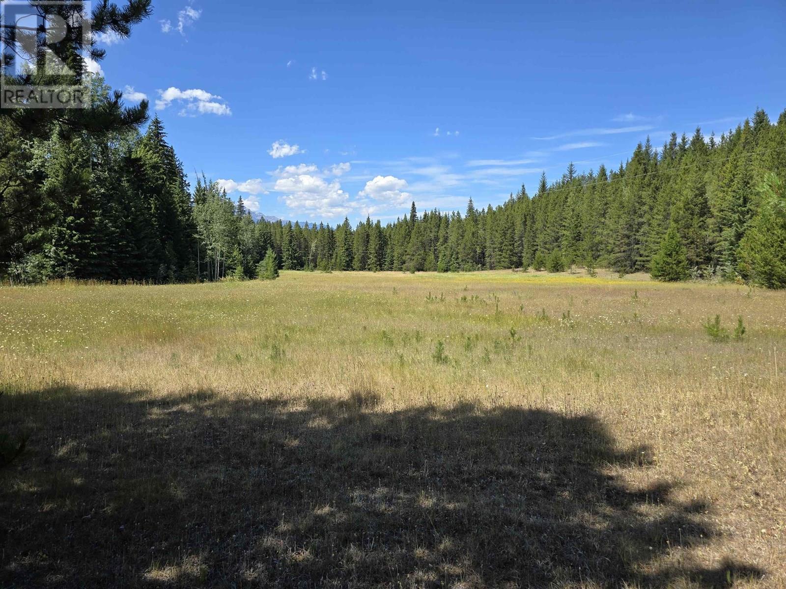 200 WHISKEYFILL ROAD, Valemount