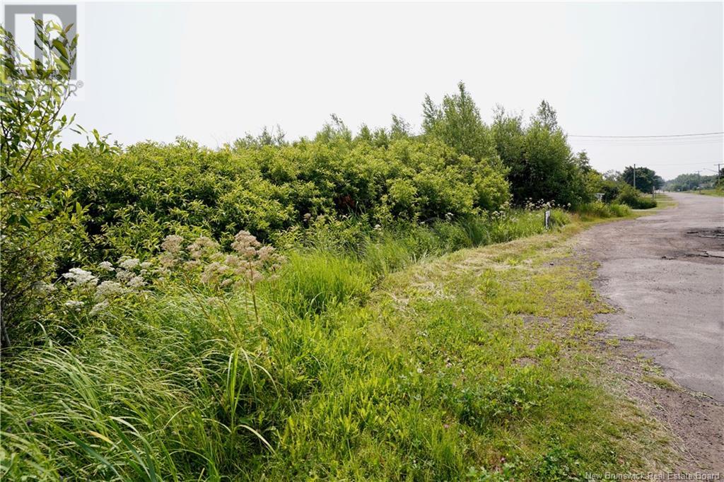 Photo 15 of Lot Rue De Laboiteau, Cappele NB