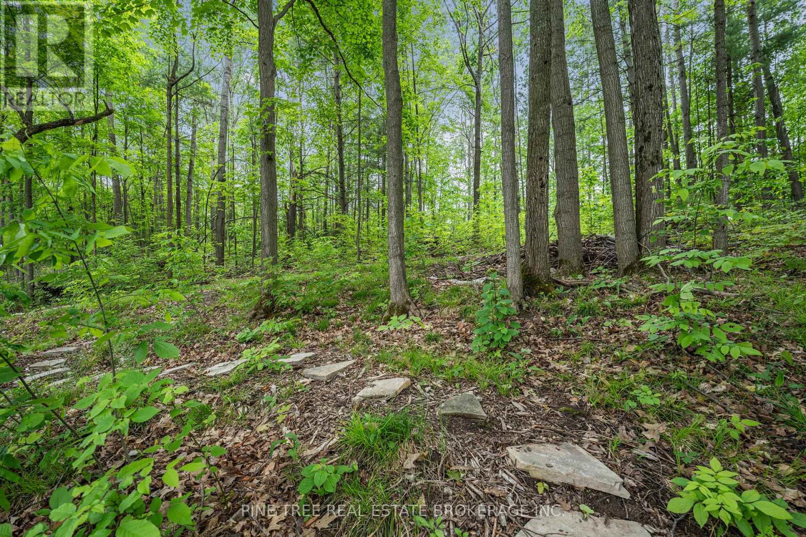 Photo 37 of 8 Frid Boulevard, Springwater ON