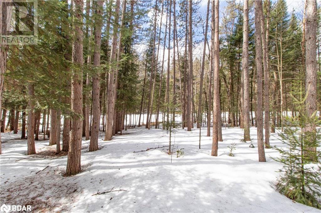 Photo 7 of 1318 Old North Road, Huntsville ON