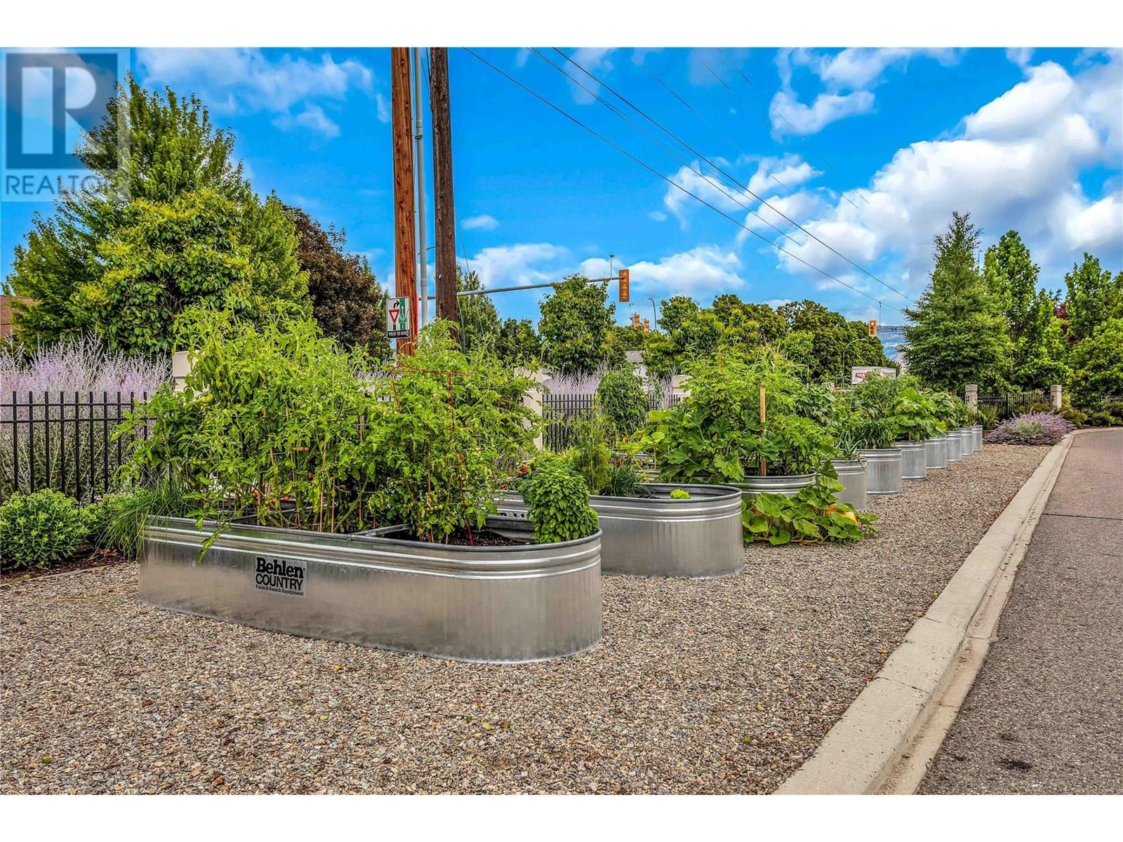 9 1102 Cameron Avenue, Kelowna