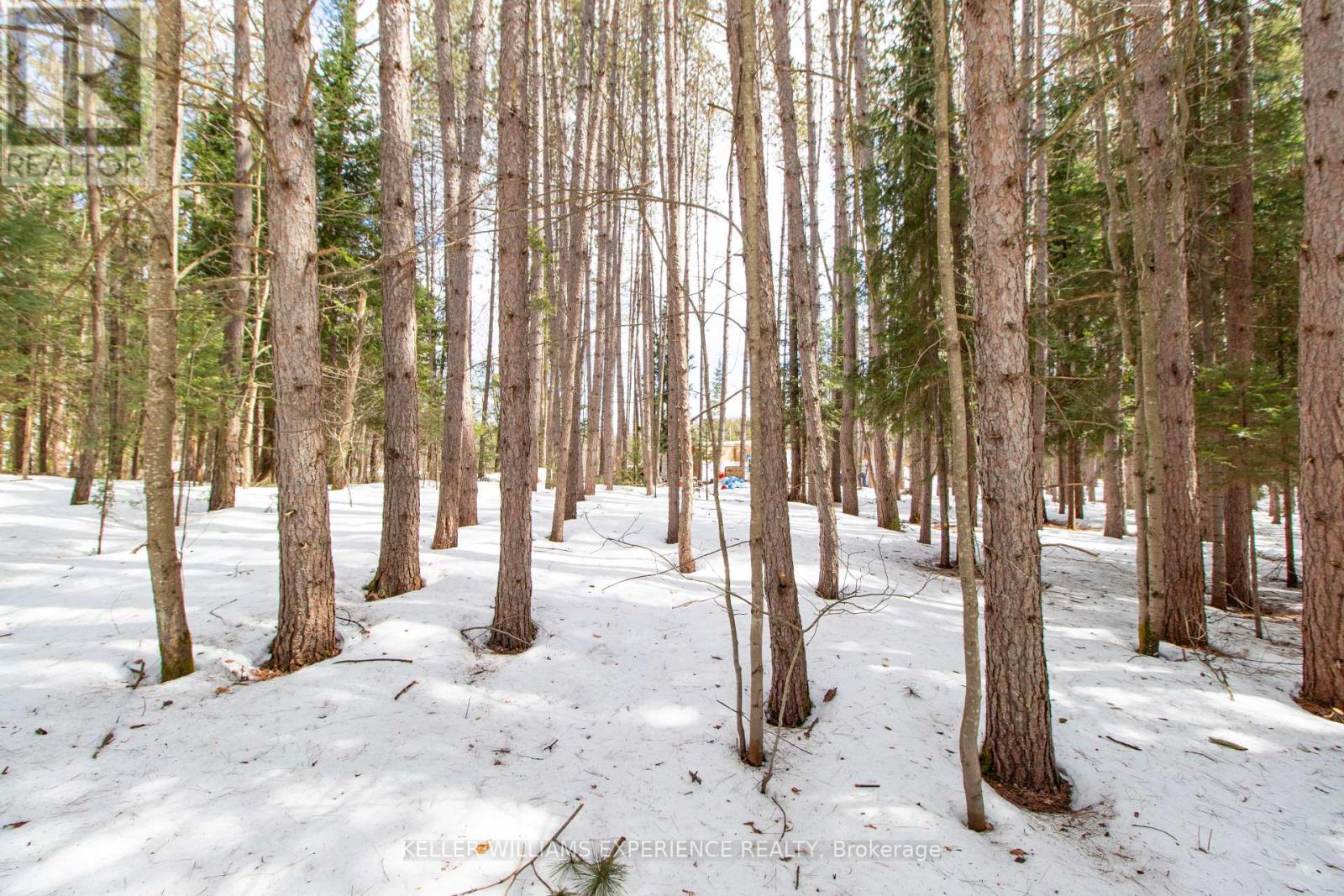 Photo 10 of 1318 Old North Road, Huntsville ON