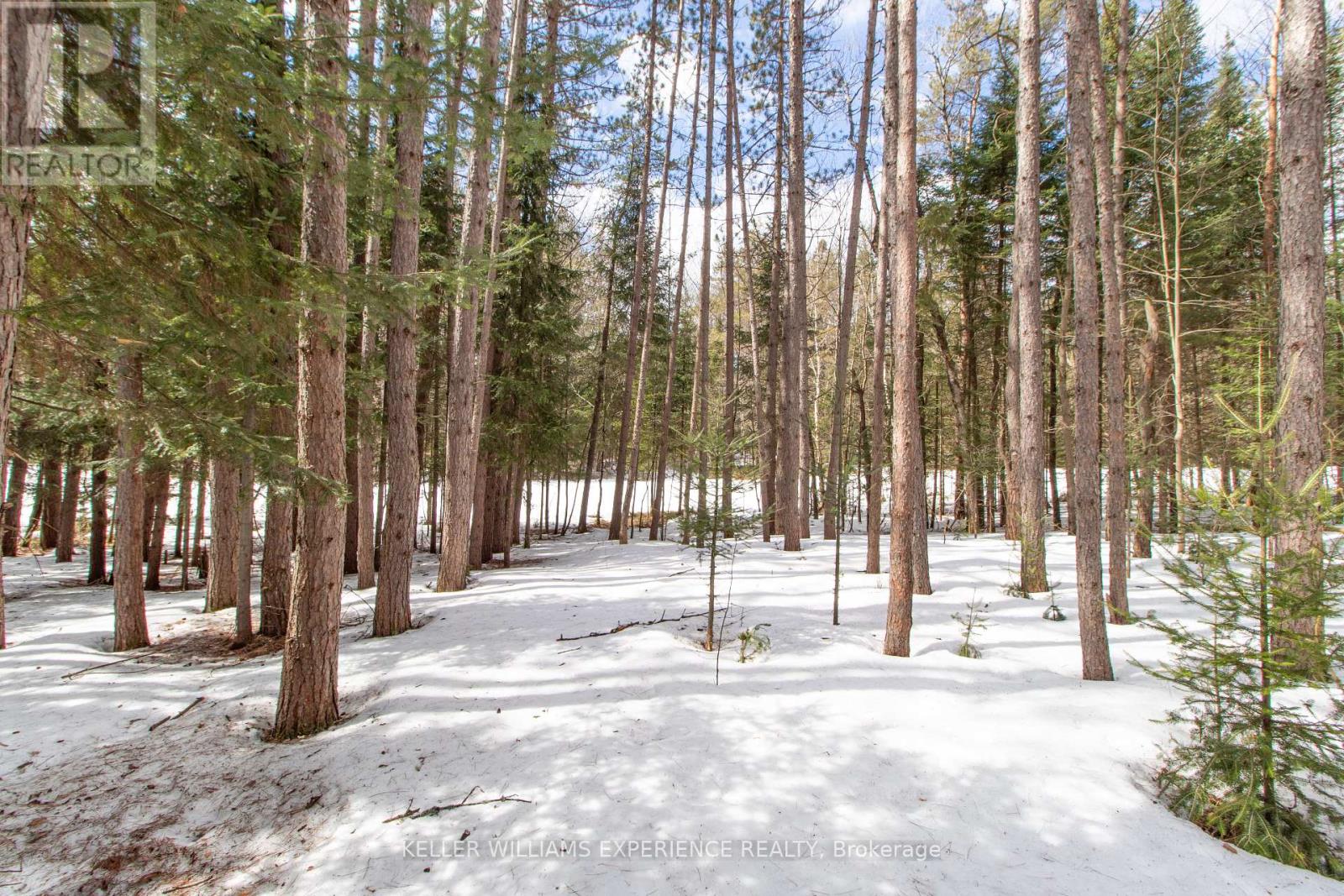 Photo 7 of 1318 Old North Road, Huntsville ON