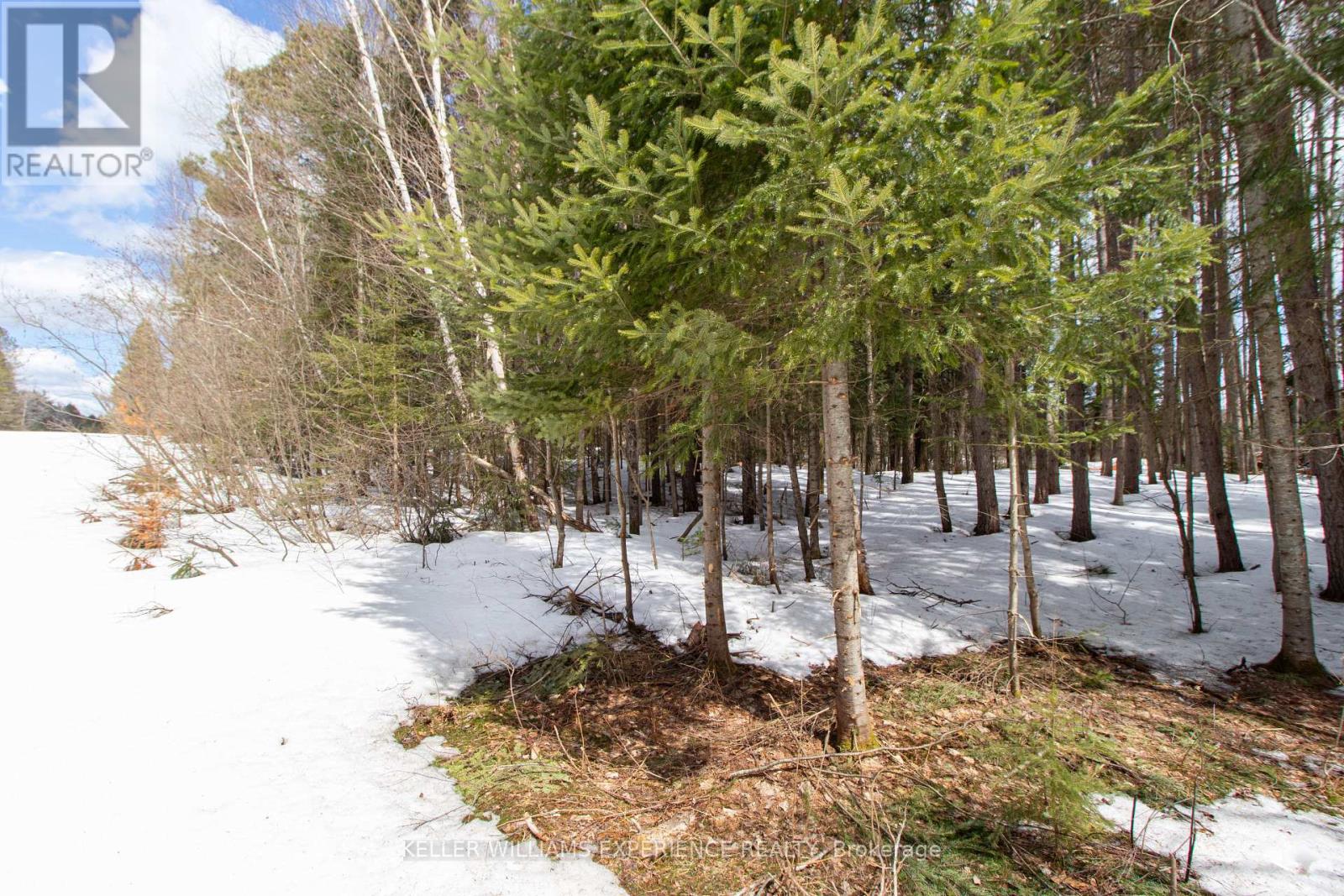 Photo 9 of 1318 Old North Road, Huntsville ON