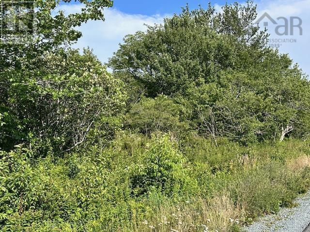 Property 2 of 2 of Lot 5 Shore Road