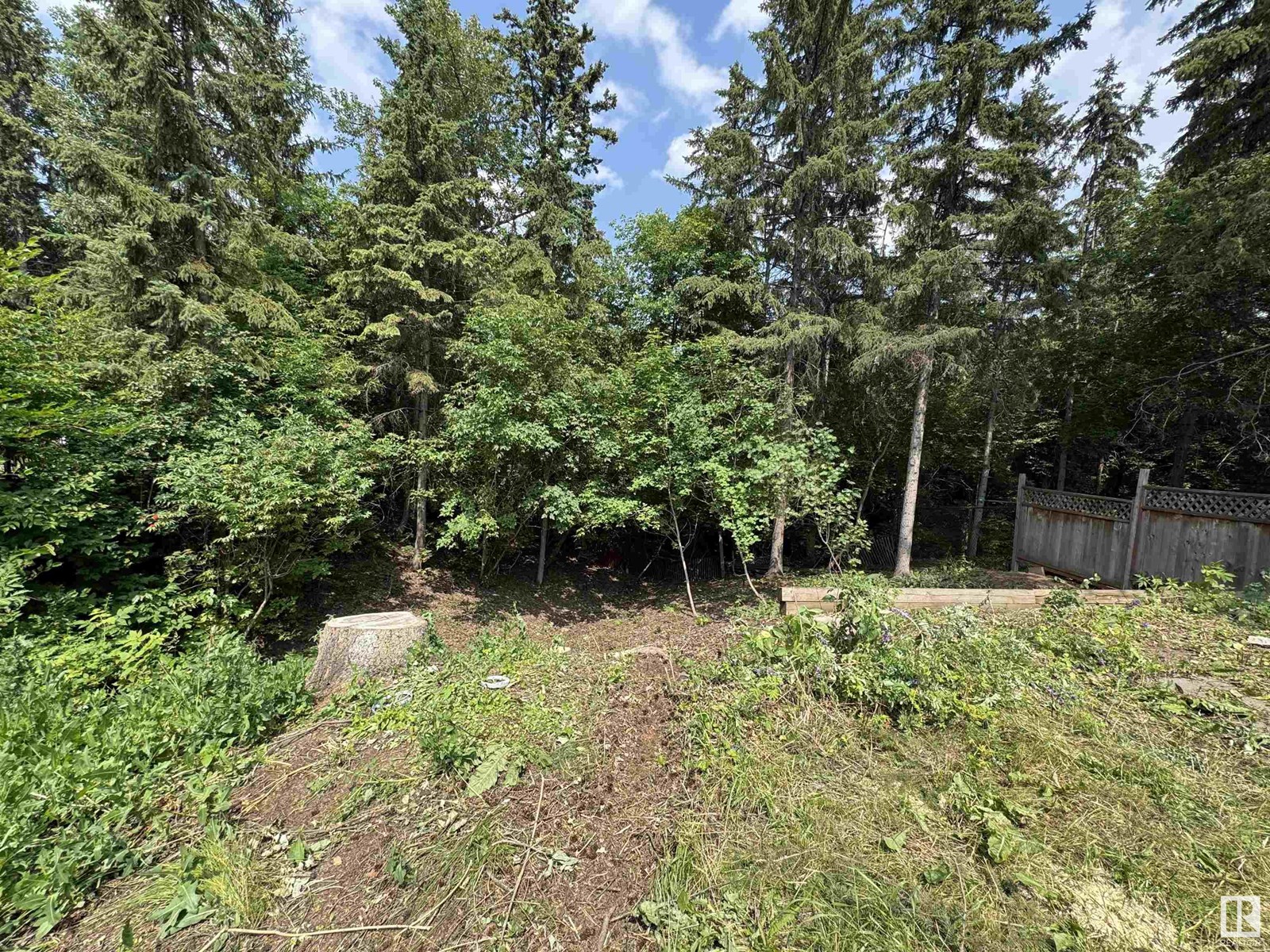 Photo 26 of 14702 Park Dr Nw, Edmonton AB
