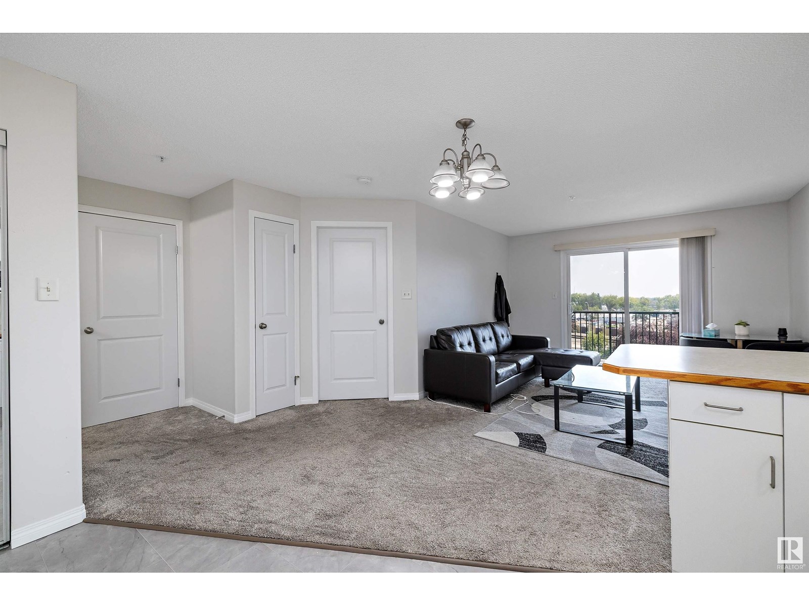 Photo 11 of 404 11325 83 St Nw, Edmonton AB