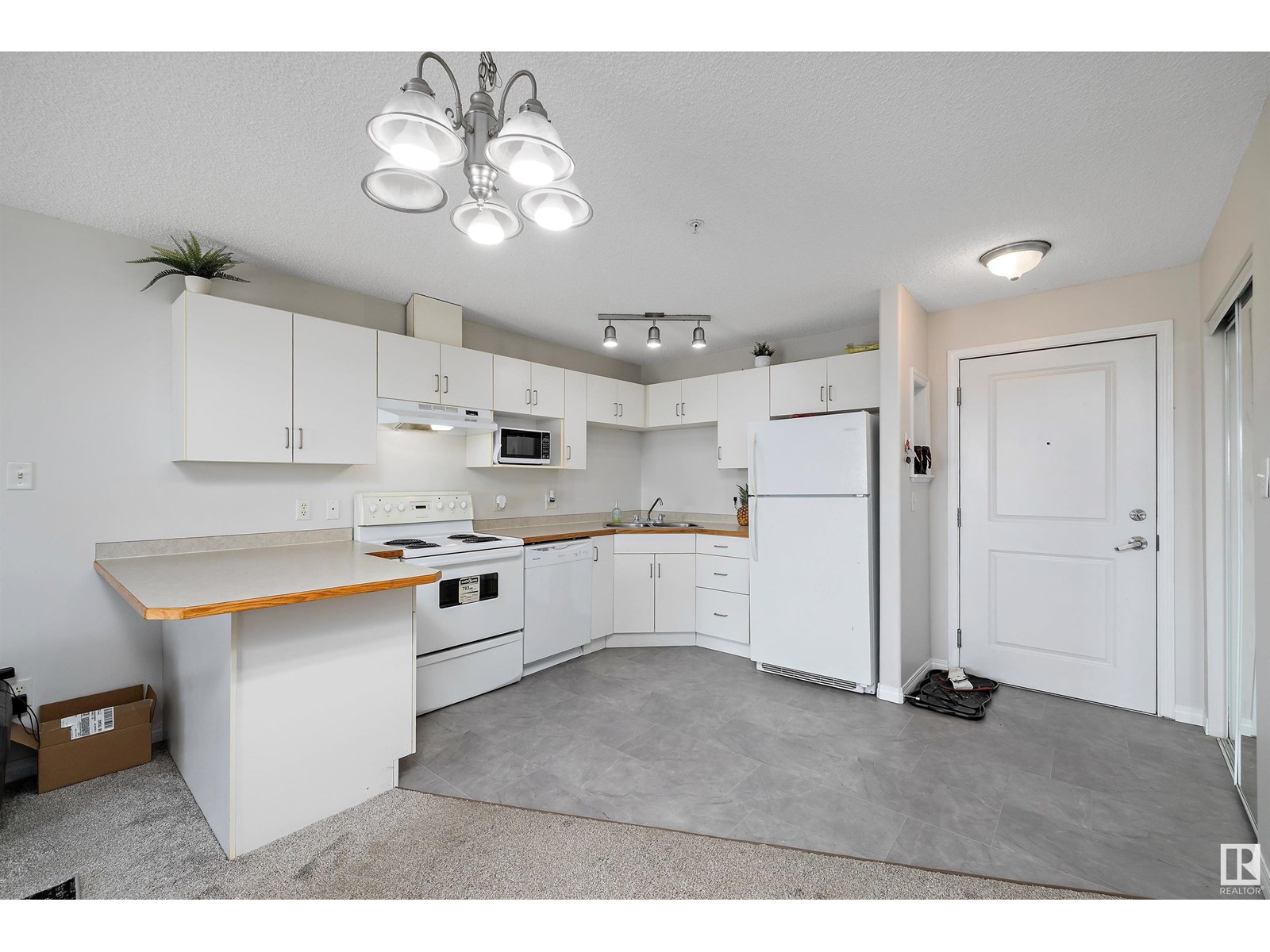 Photo 2 of 404 11325 83 St Nw, Edmonton AB