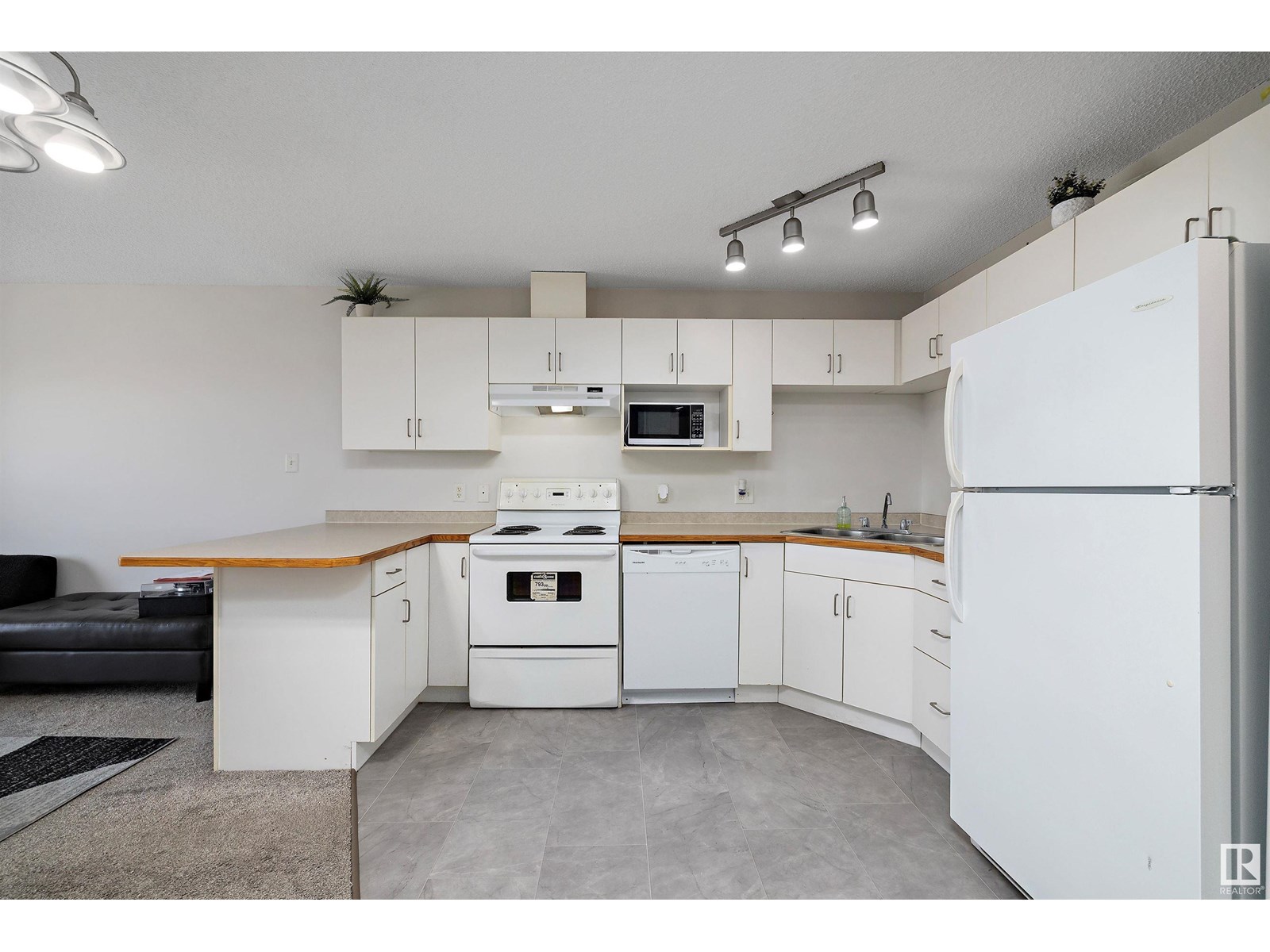 Photo 6 of 404 11325 83 St Nw, Edmonton AB