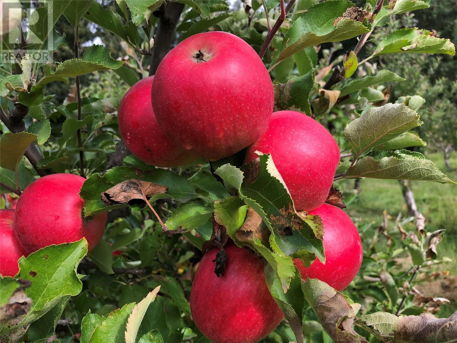  5393 East Vernon Road, Vernon