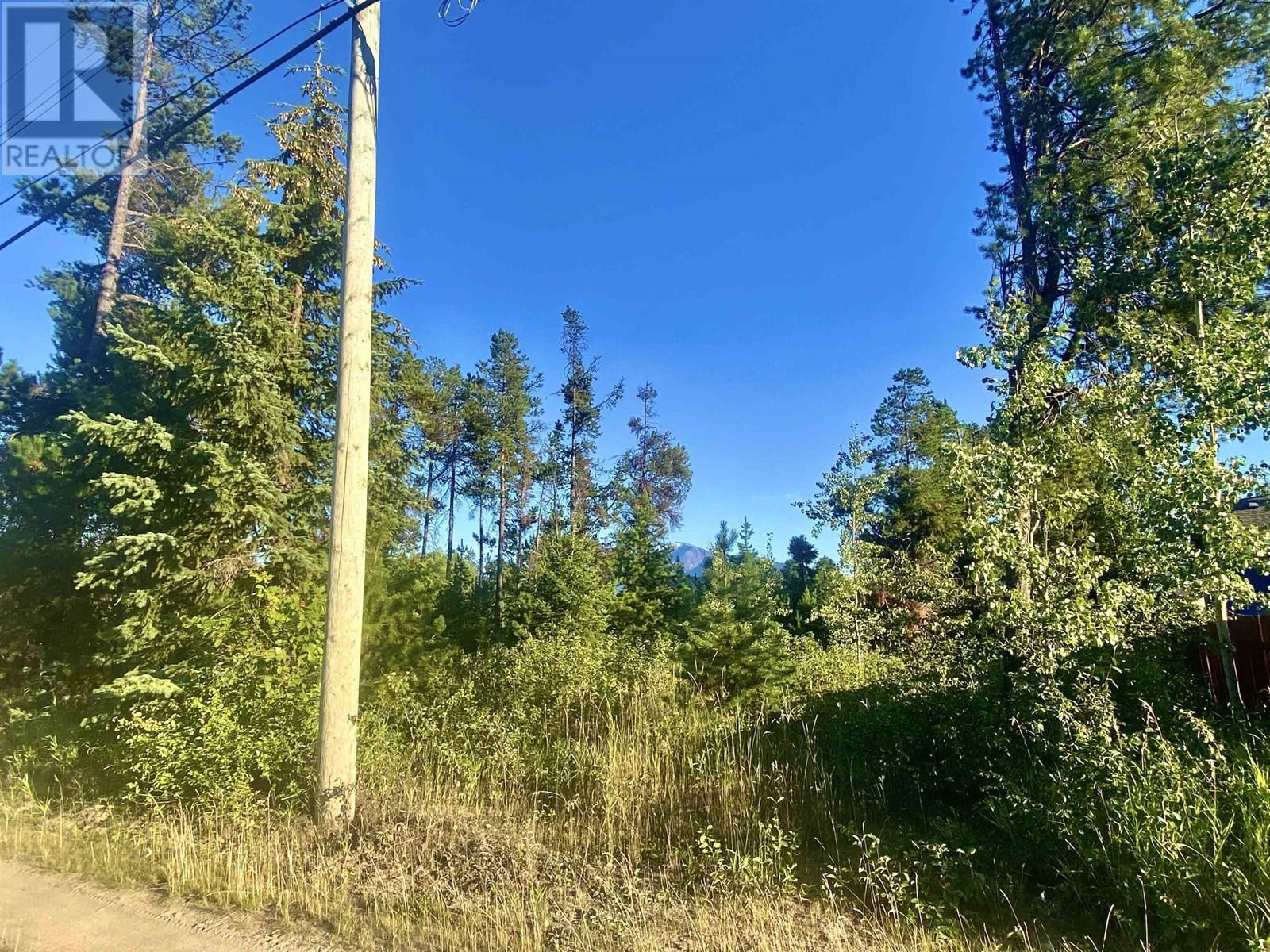 1060 6TH AVENUE, Valemount