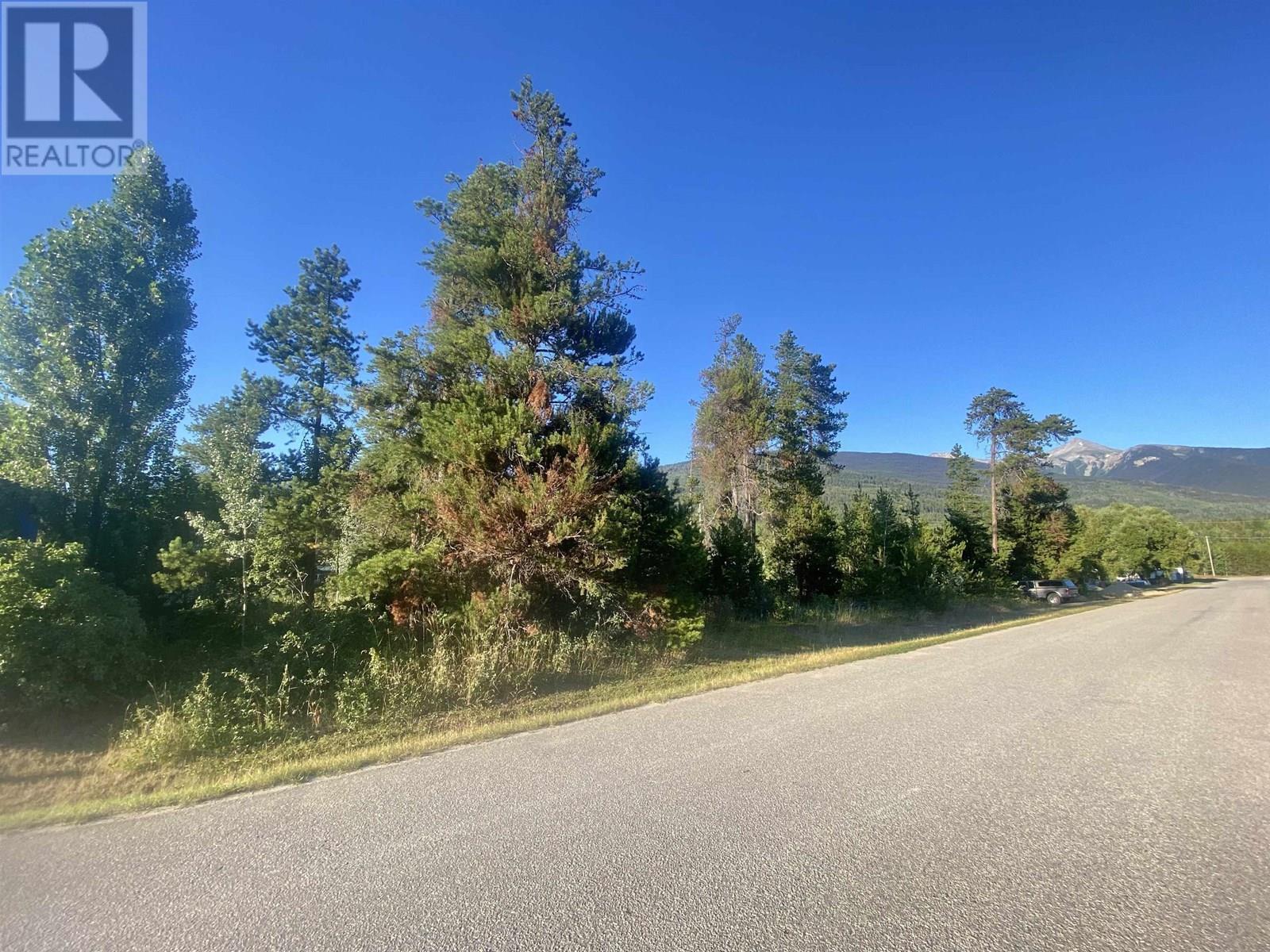 1060 6TH AVENUE, Valemount