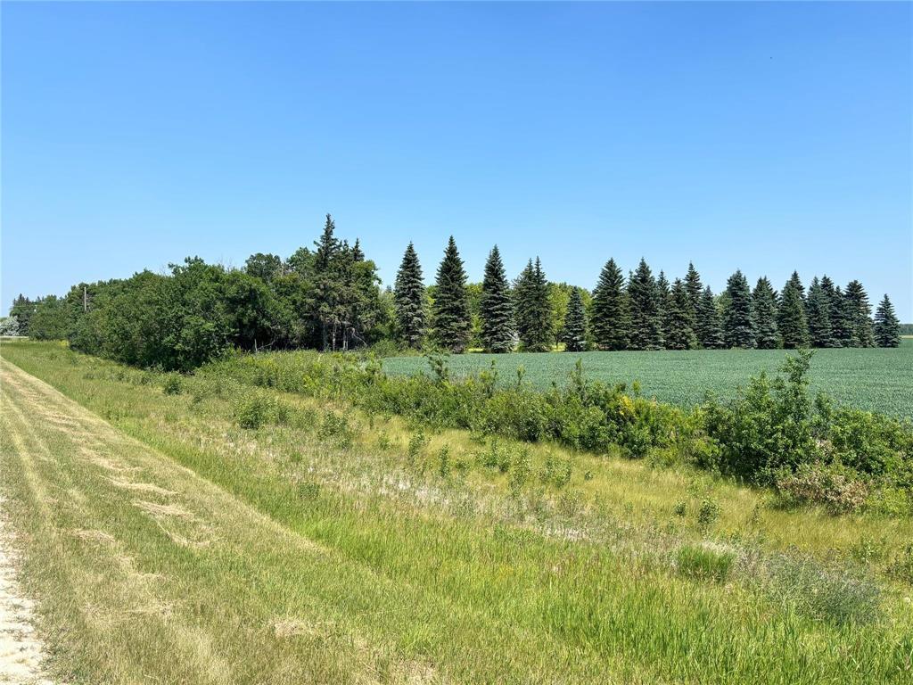 Photo 3 of 9193 No 8 Highway, Netley MB
