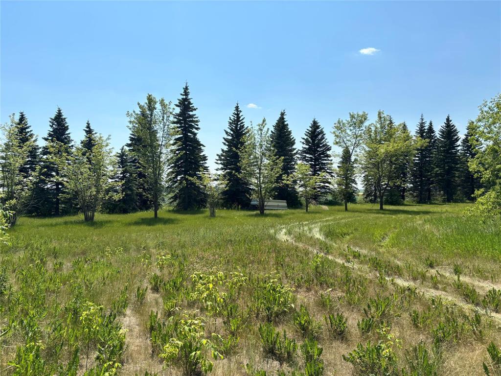Photo 4 of 9193 No 8 Highway, Netley MB