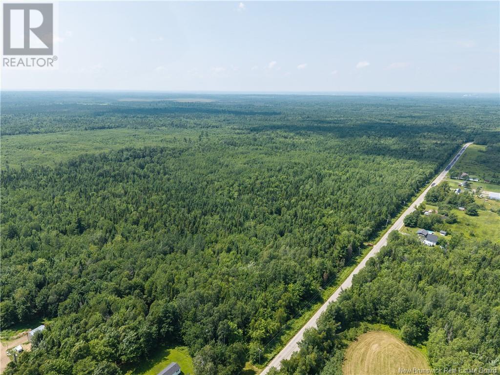 Photo 1 of 14 Hectares Woodlot Napan, Napan NB