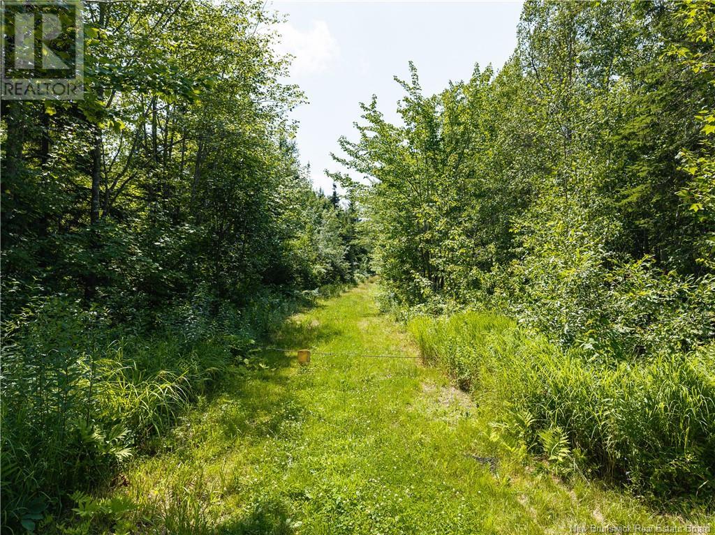 Photo 2 of 14 Hectares Woodlot Napan, Napan NB