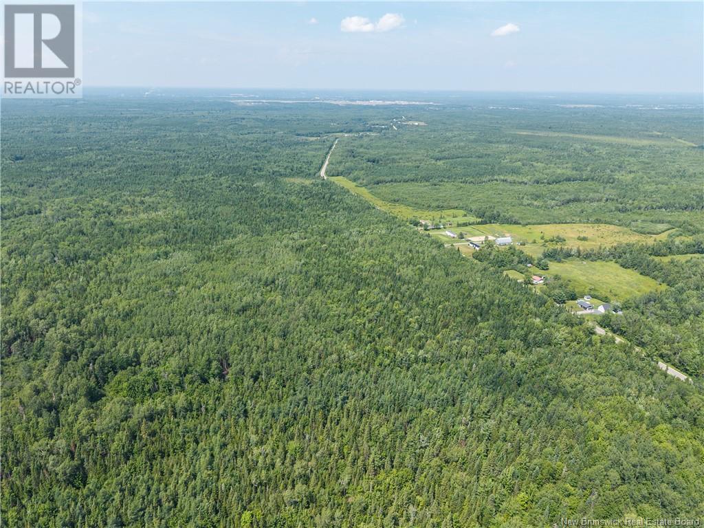 Photo 3 of 14 Hectares Woodlot Napan, Napan NB