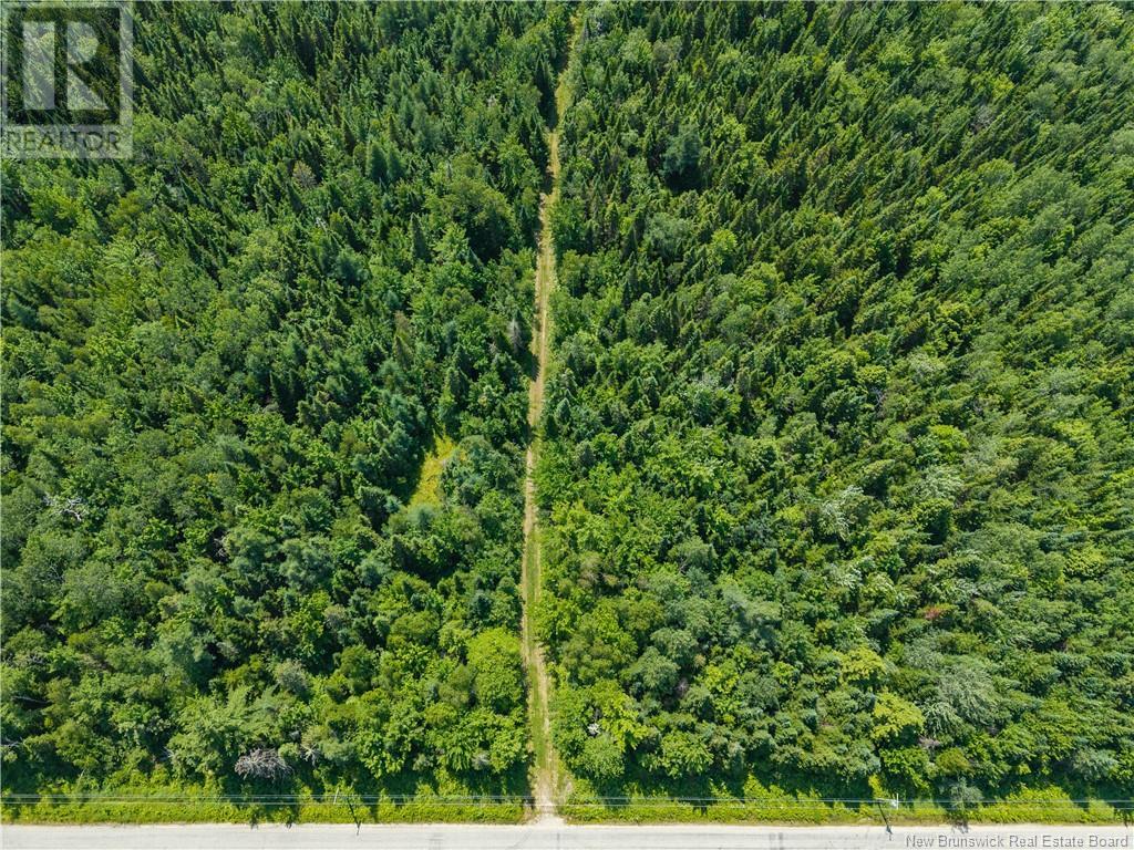 Photo 5 of 14 Hectares Woodlot Napan, Napan NB