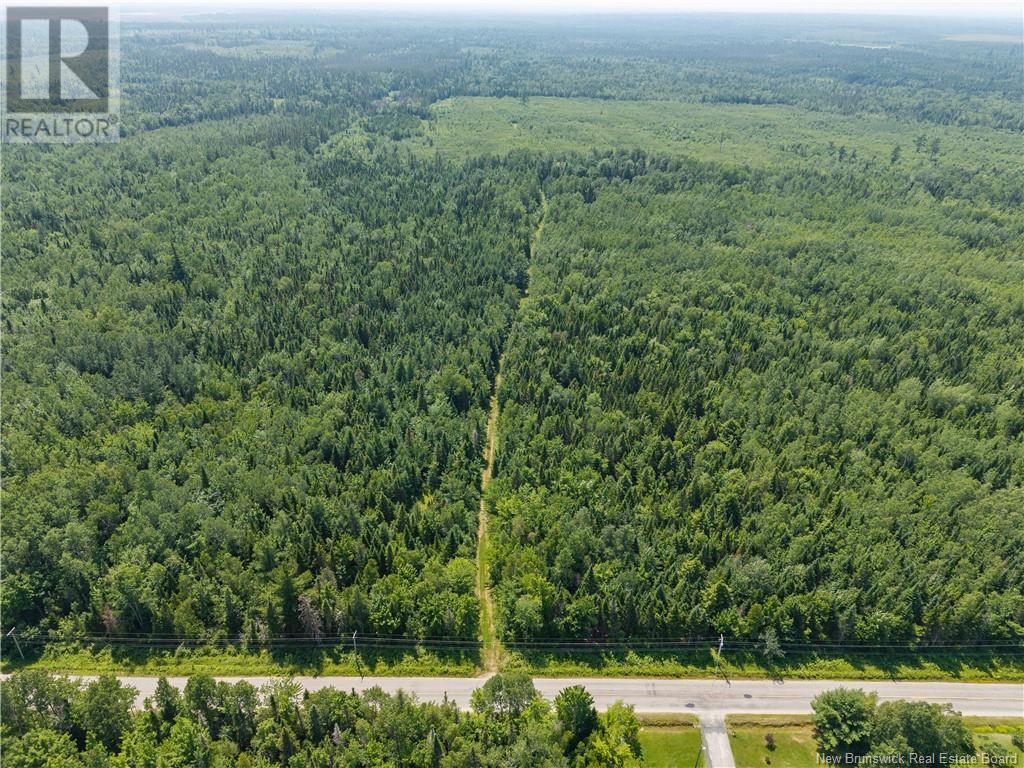 Photo 6 of 14 Hectares Woodlot Napan, Napan NB