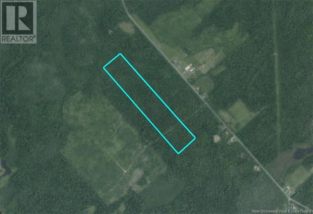 Photo 7 of 14 Hectares Woodlot Napan, Napan NB