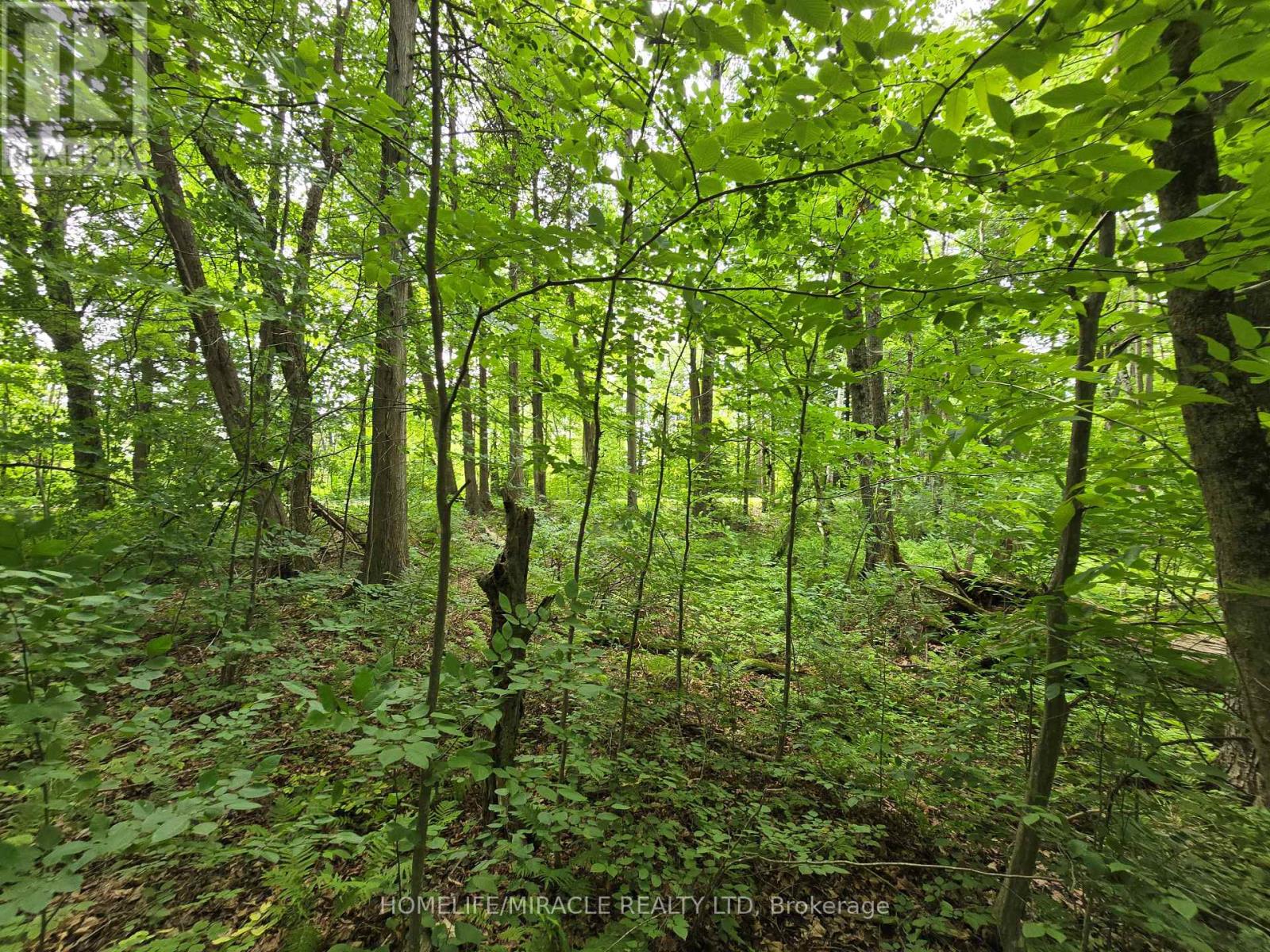 Photo 1 of 000 Cedar Sands Road, Rideau Lakes ON