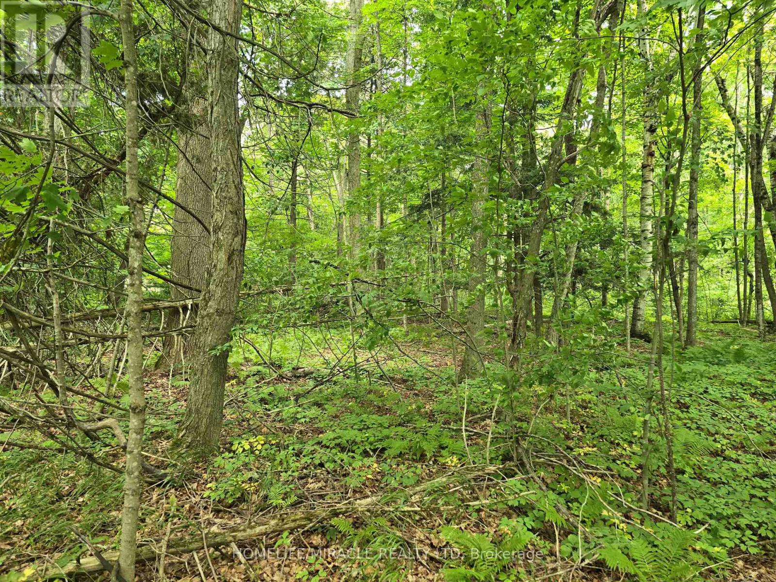 Photo 2 of 000 Cedar Sands Road, Rideau Lakes ON
