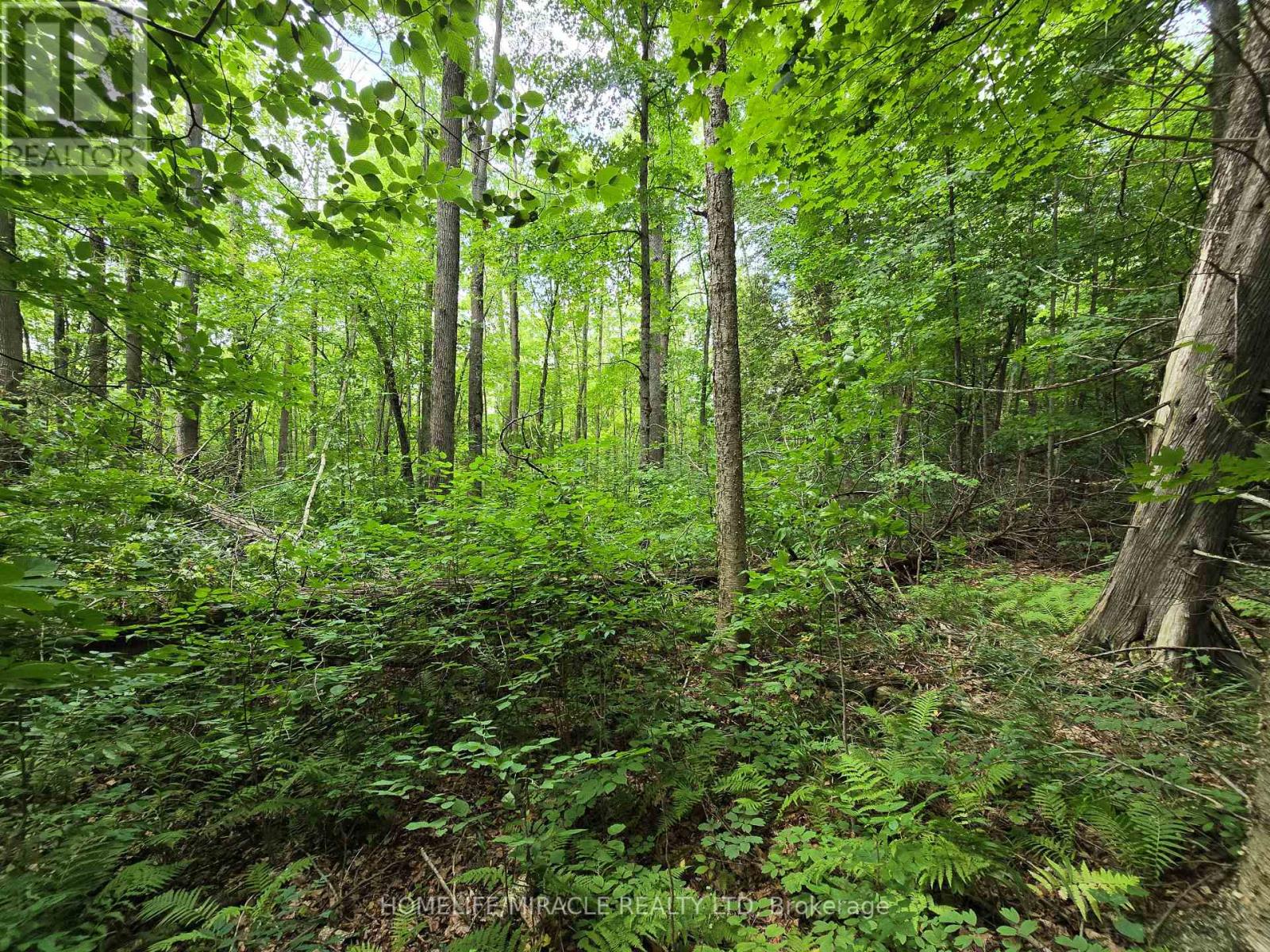 Photo 3 of 000 Cedar Sands Road, Rideau Lakes ON