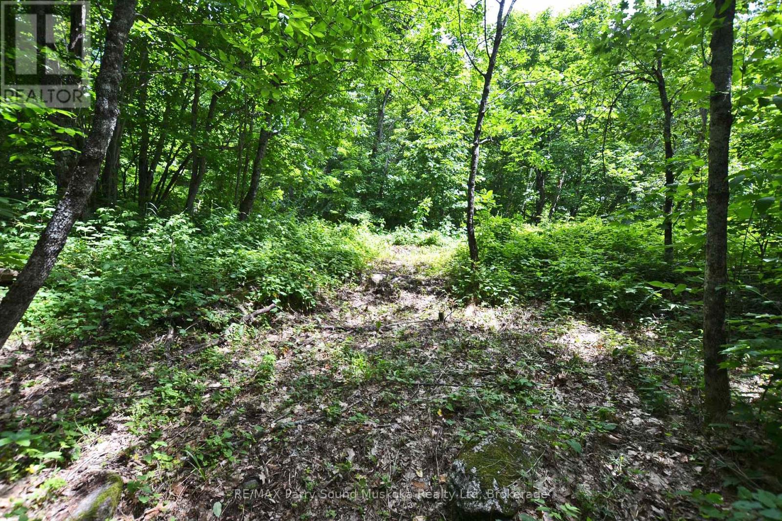 Photo 7 of Lot 1 Shields Drive, Seguin ON